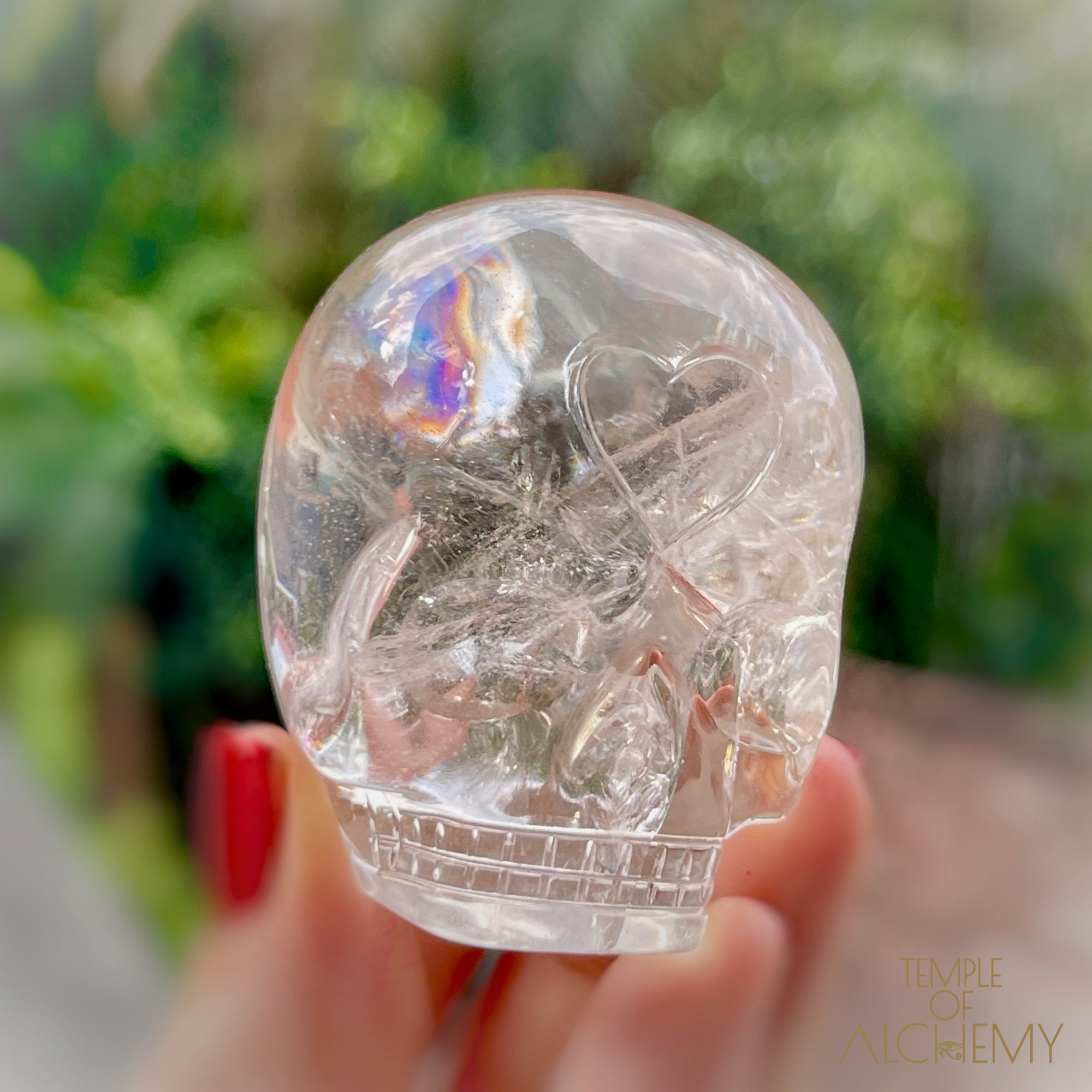 🌈 Lemurian