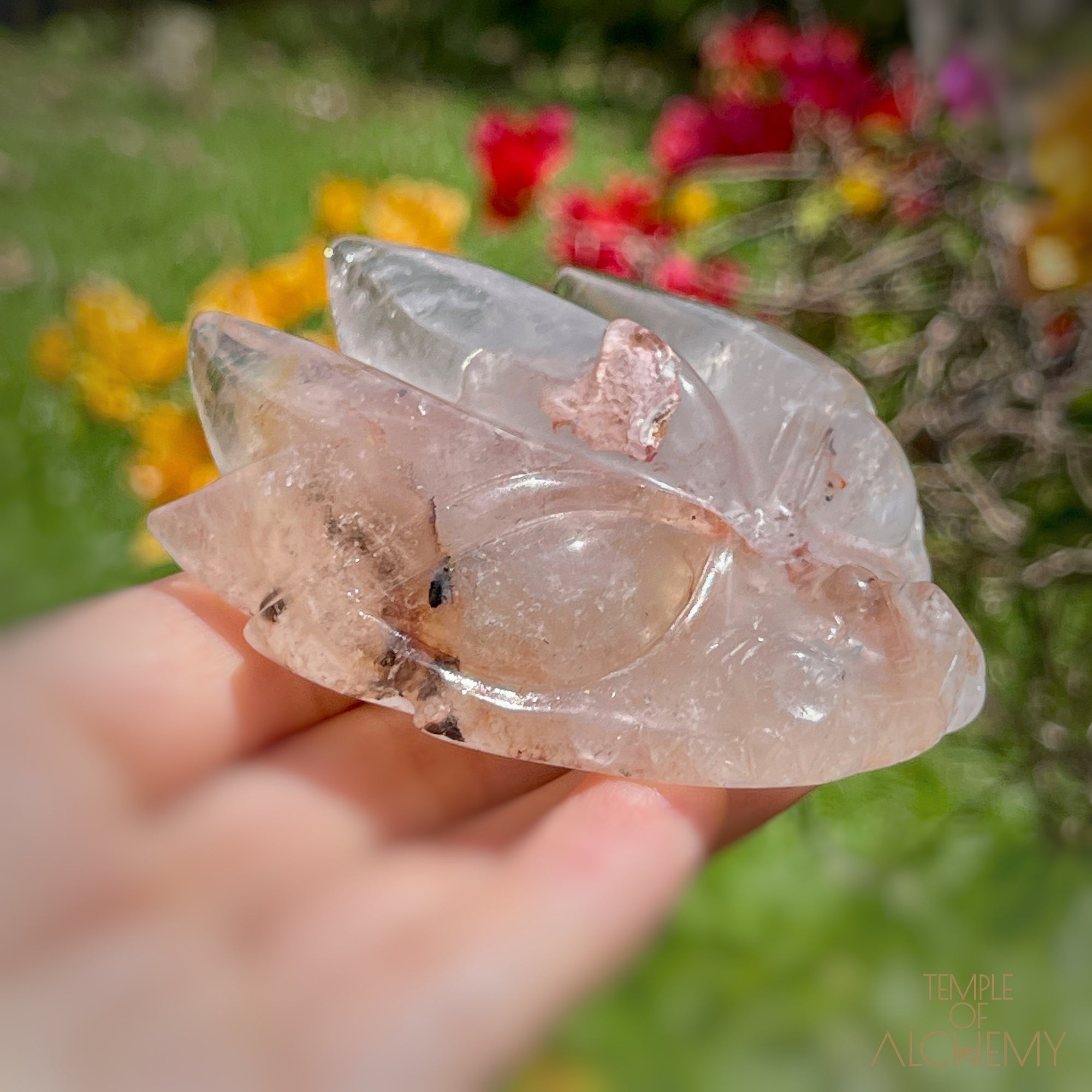 Opalised Chalcedony in Quartz