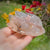 Opalised Chalcedony in Quartz