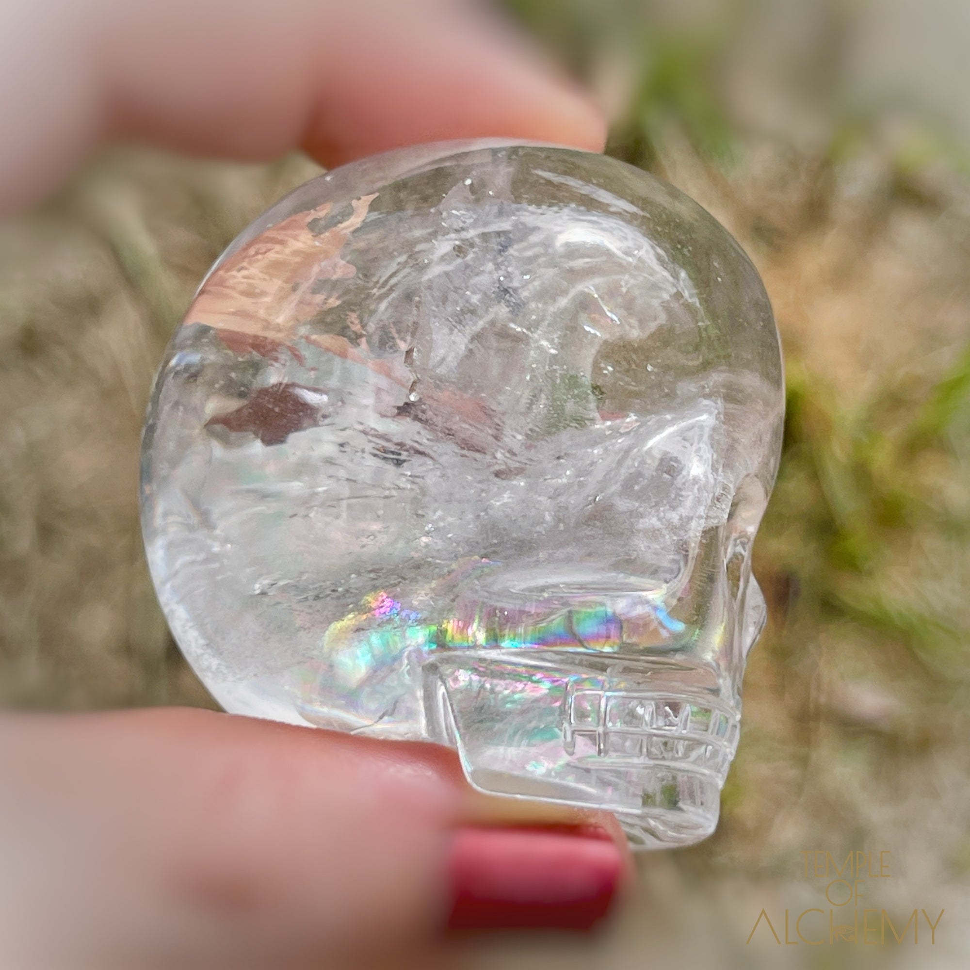 🌈 Lemurian