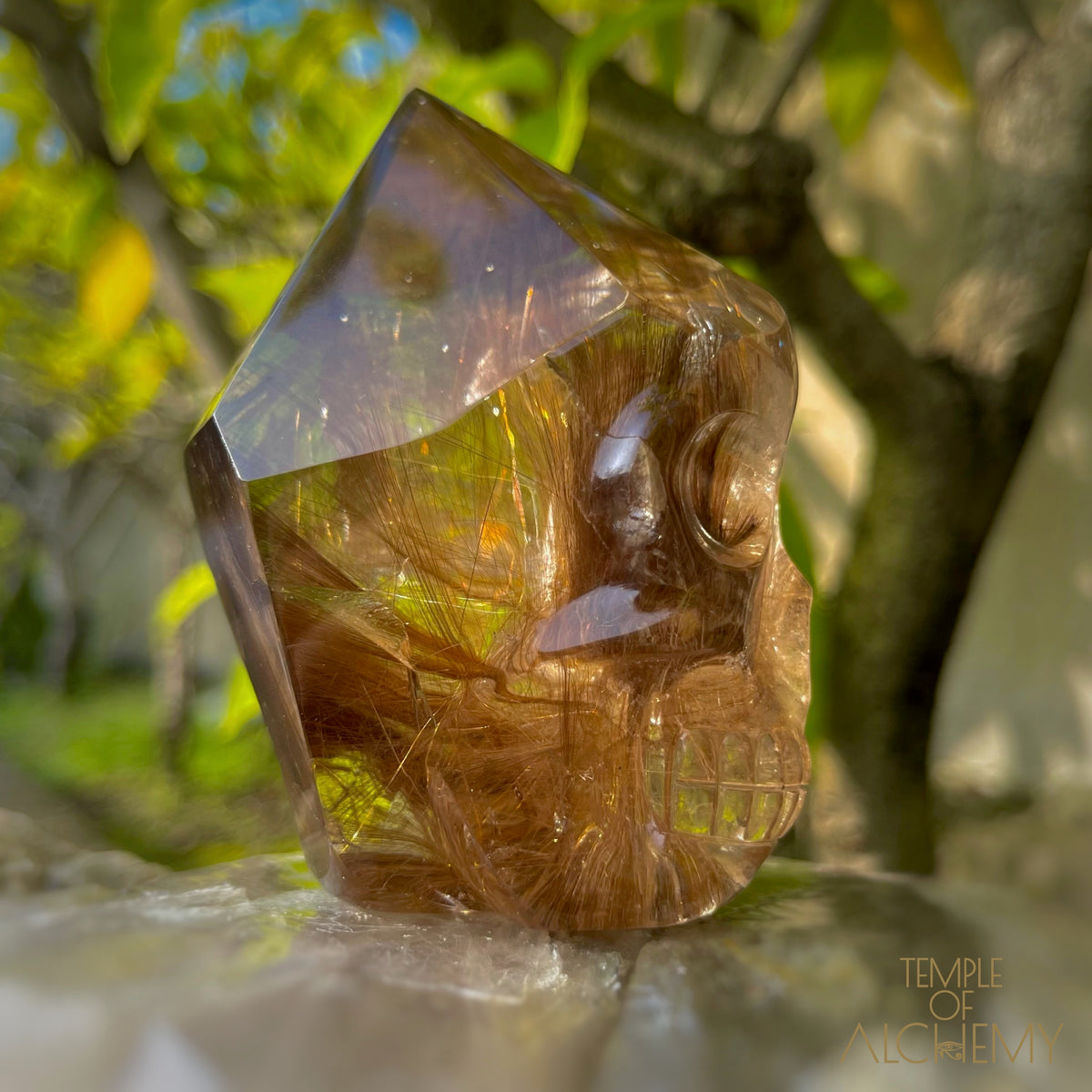 The Power of 2 Beings in 1 𓆃 Smoky Citrine x Golden-Copper Rutiles