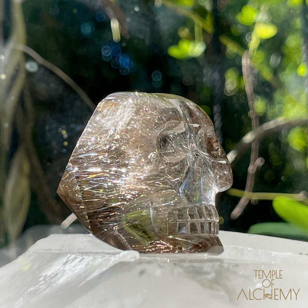 Smoky Citrine x Golden-Copper Rutiles