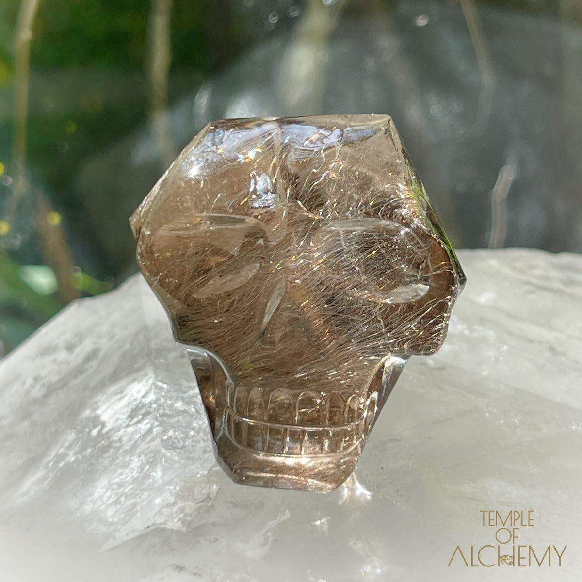 Smoky Citrine x Golden-Copper Rutiles