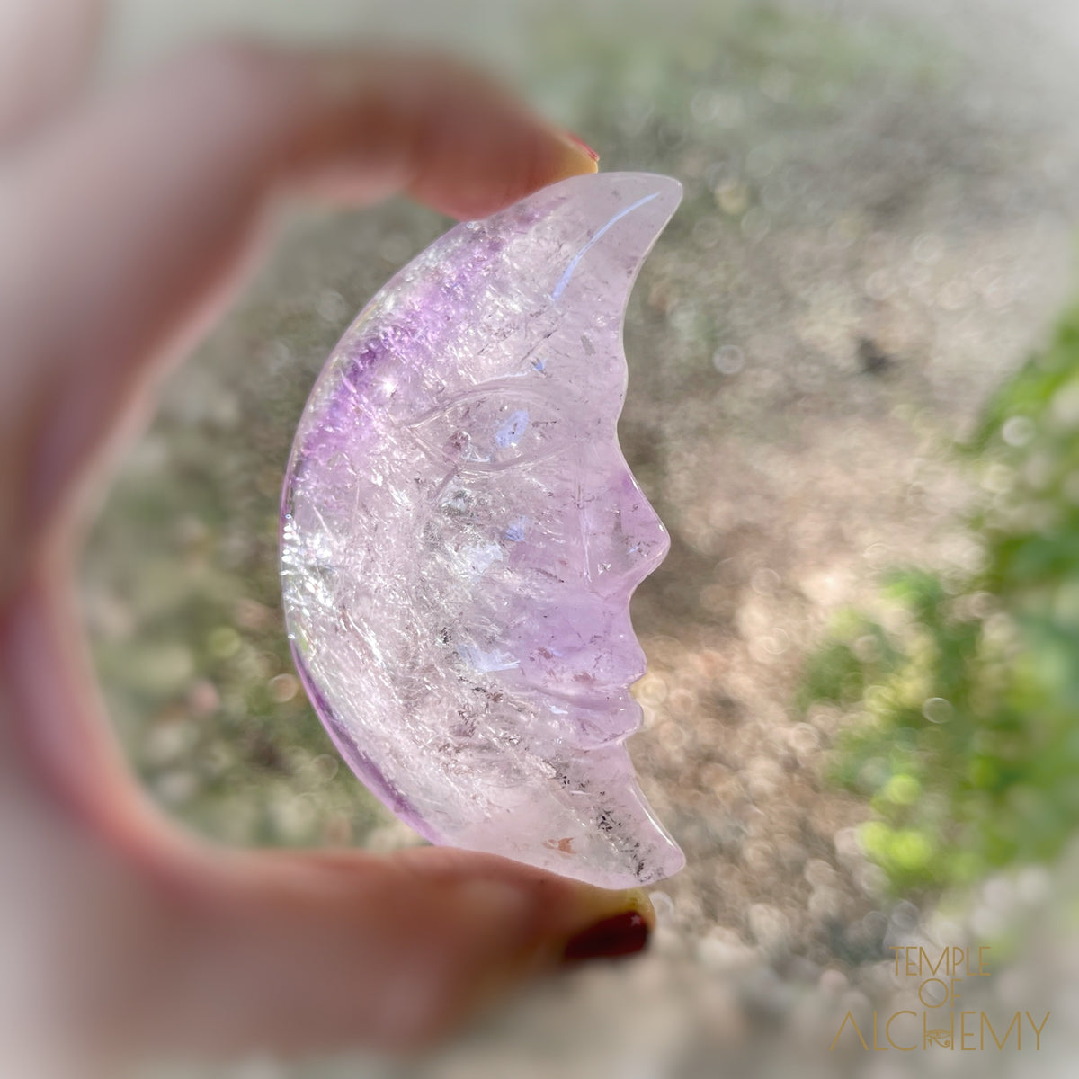 * RESERVED S.A * Phantom Amethyst