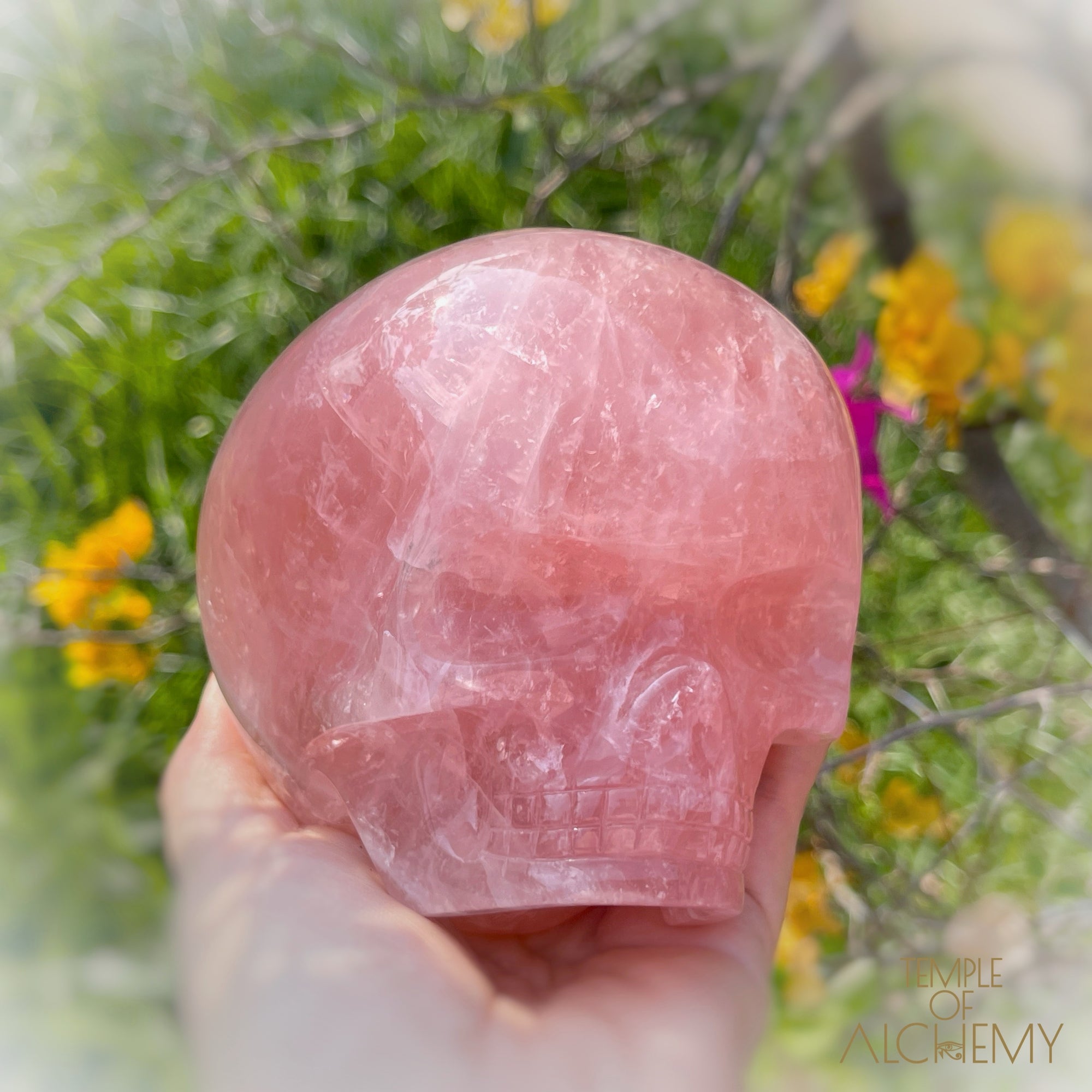 Cat's Eye Rose Quartz