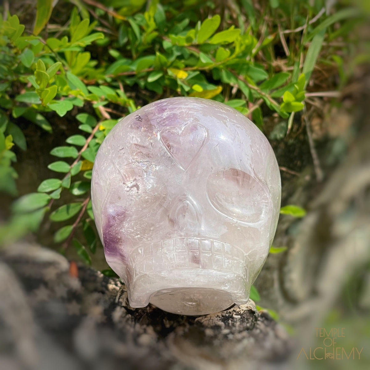 Trapiche Amethyst + Hollandite