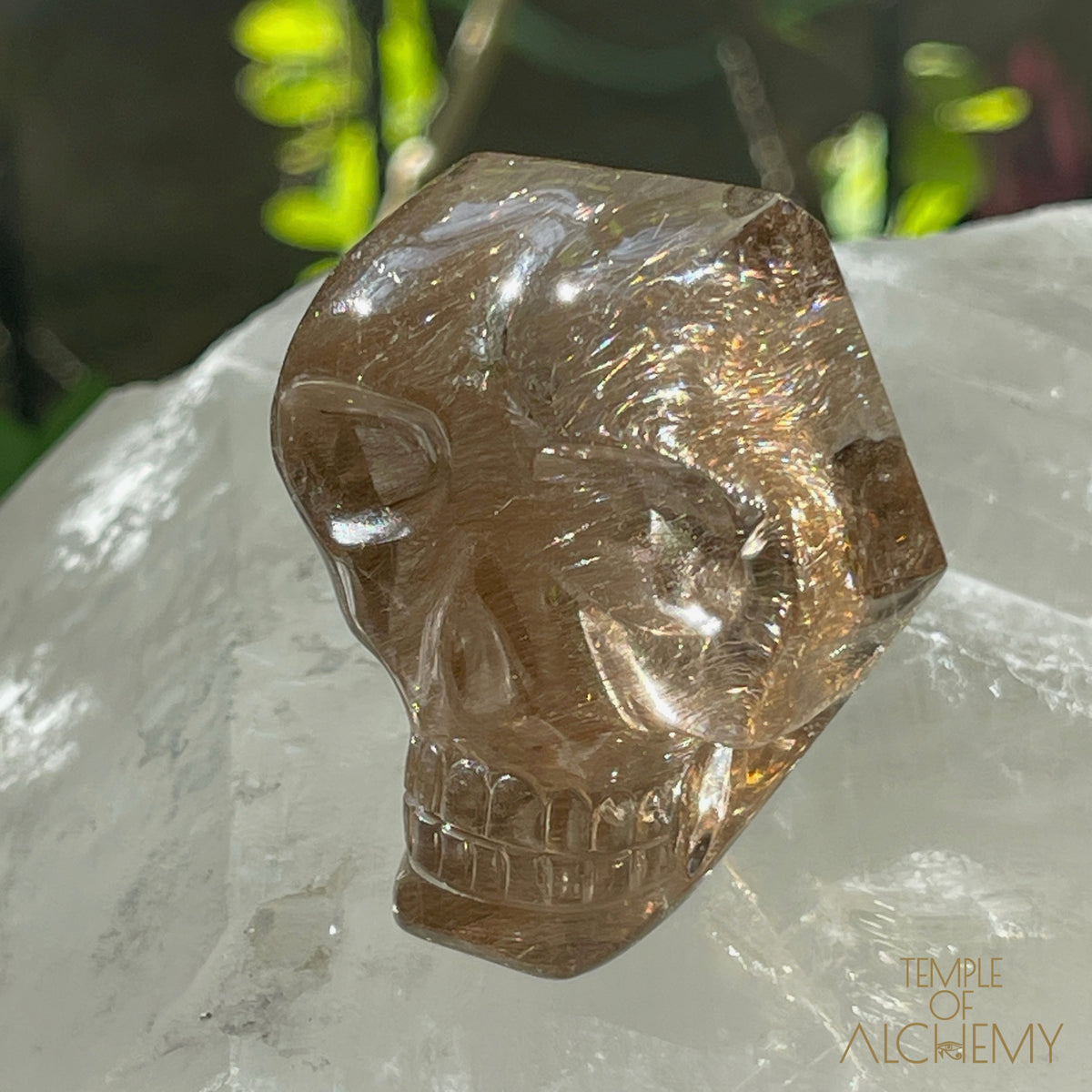 Smoky Citrine x Golden-Copper Rutiles