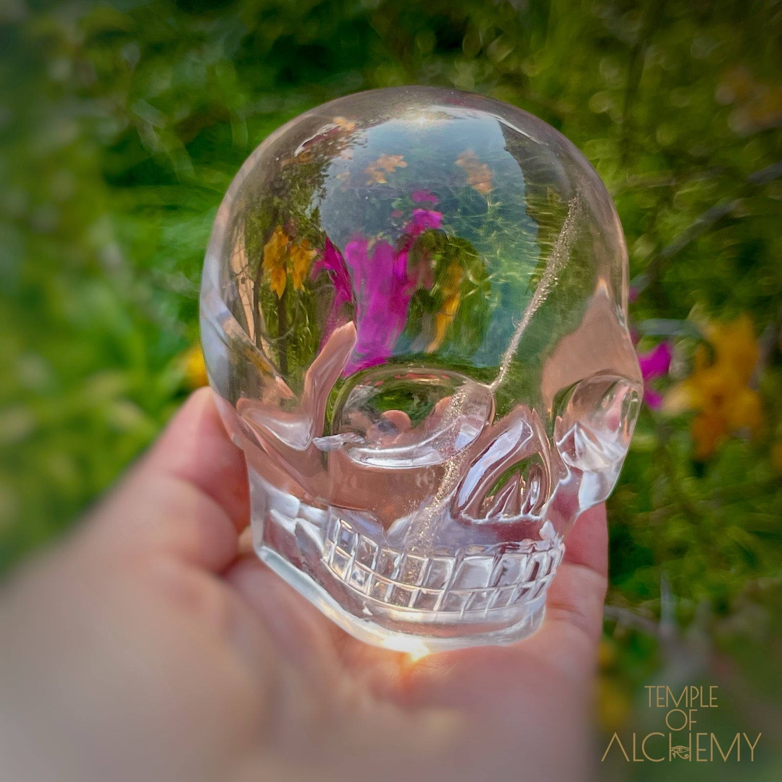 Ascension 𓄂♡𓆃 Citrine