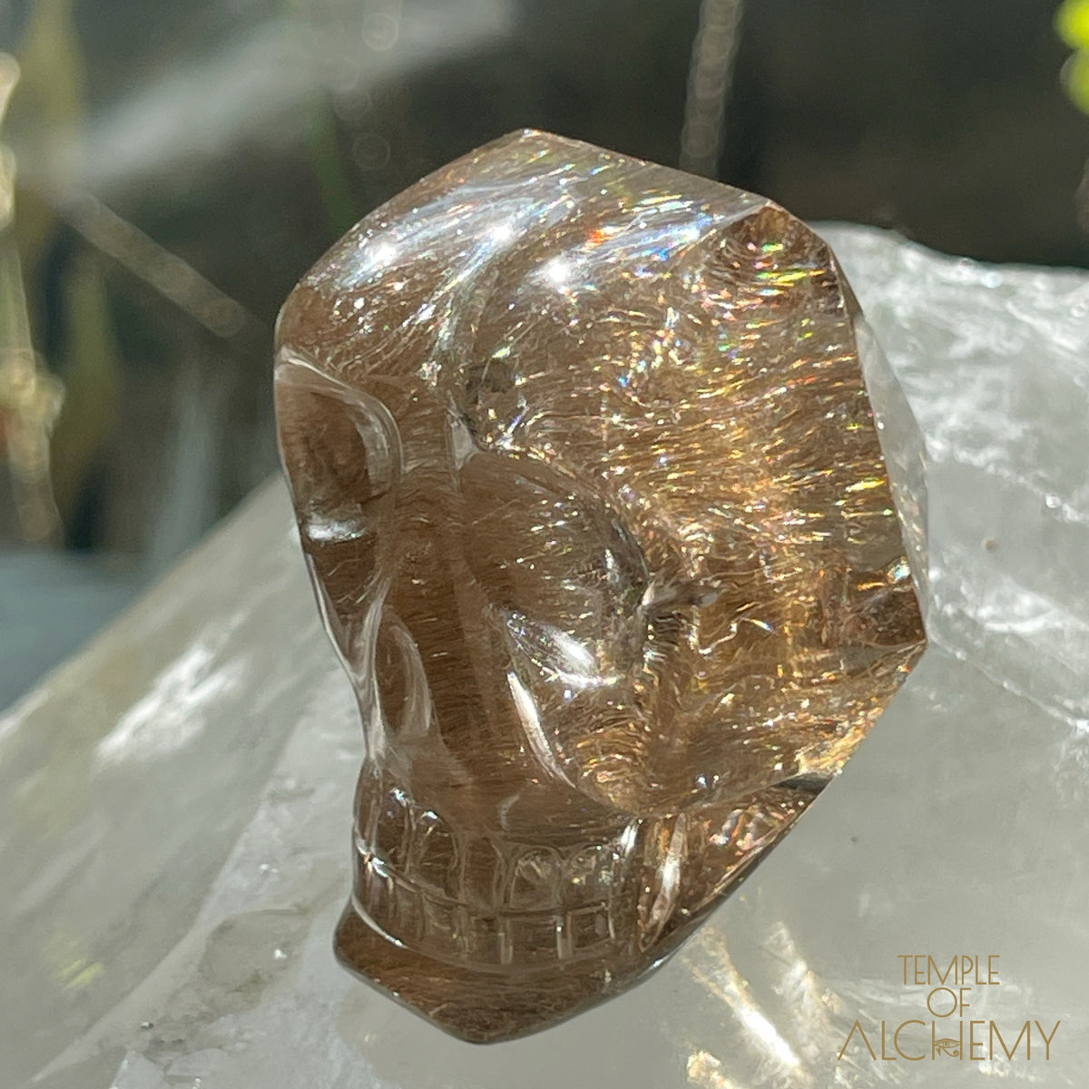 Smoky Citrine x Golden-Copper Rutiles