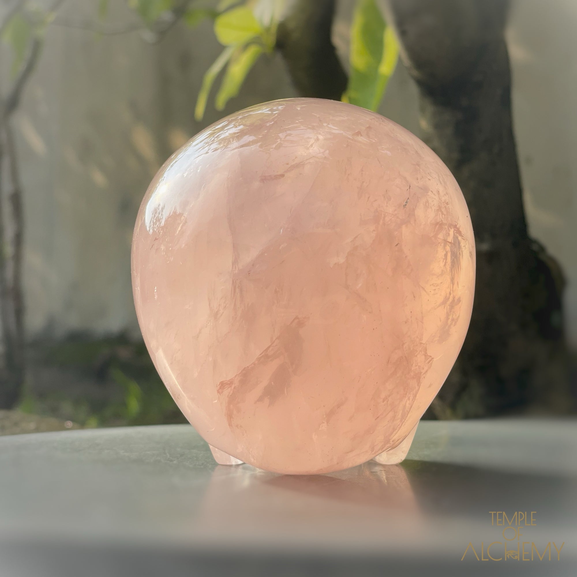 Star Rose Quartz