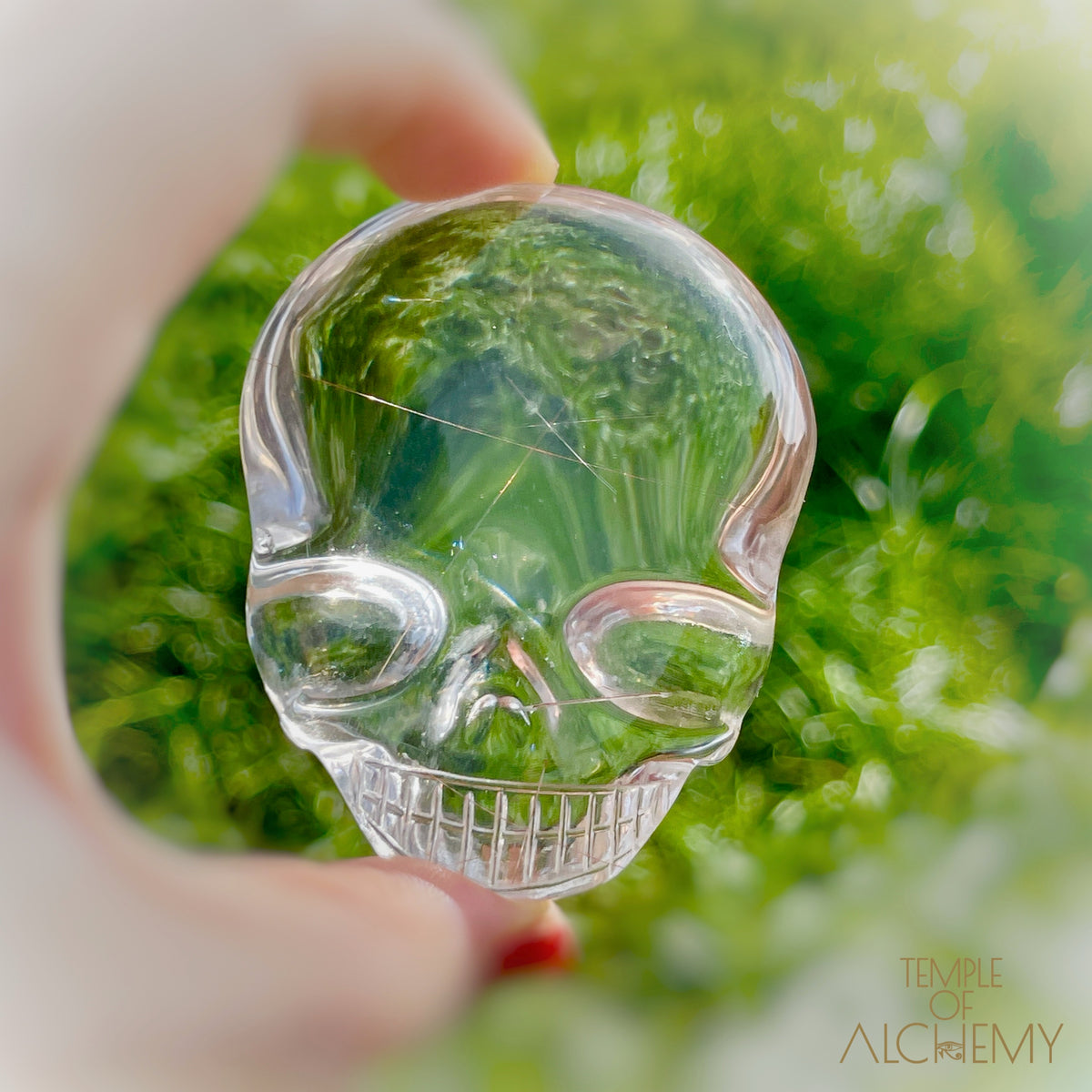 Ascension 𓄂♡𓆃 Copper Rutiles in Clear Quartz