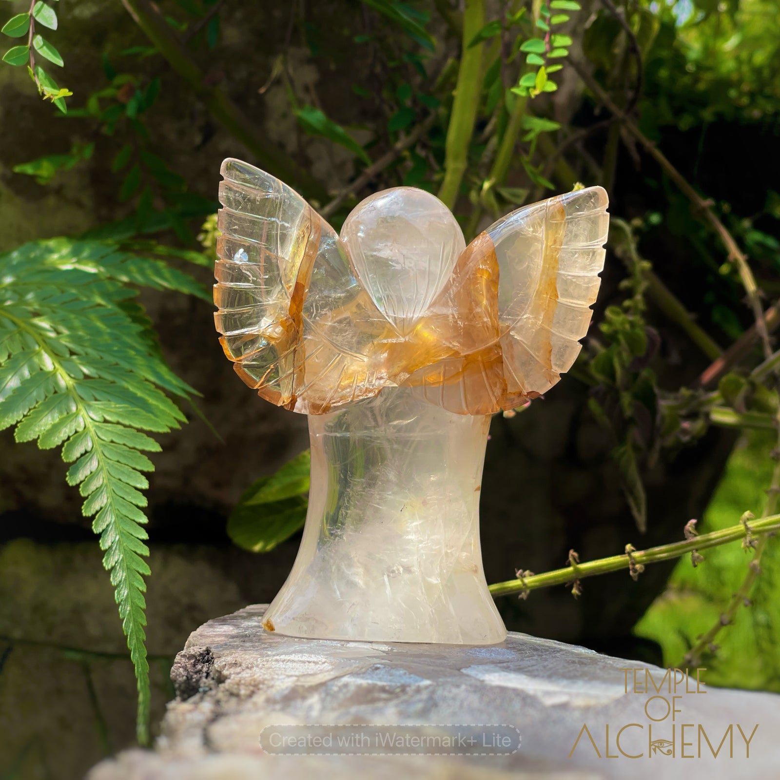 Golden Healer x Girasol Quartz