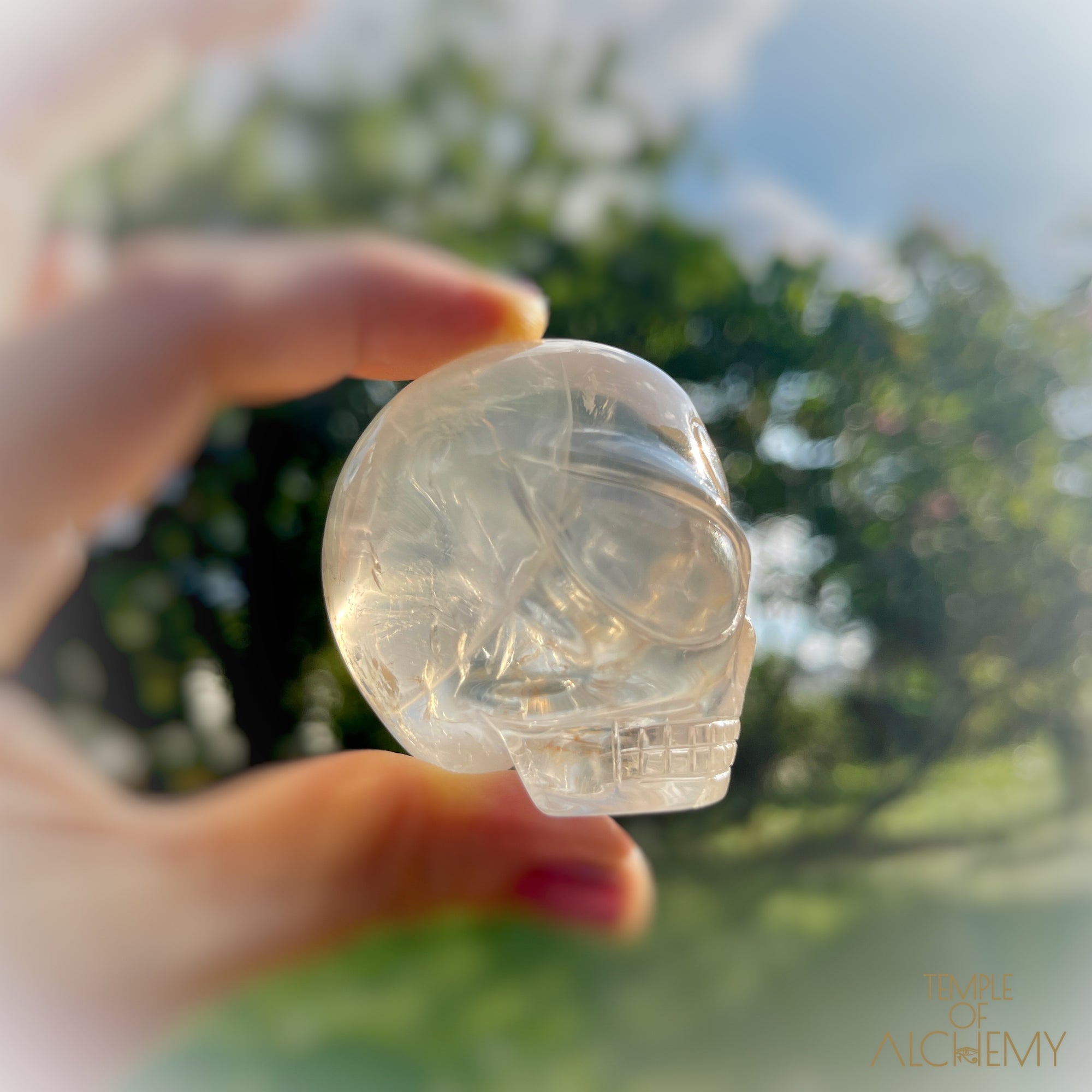 Golden Healer Girasol Quartz