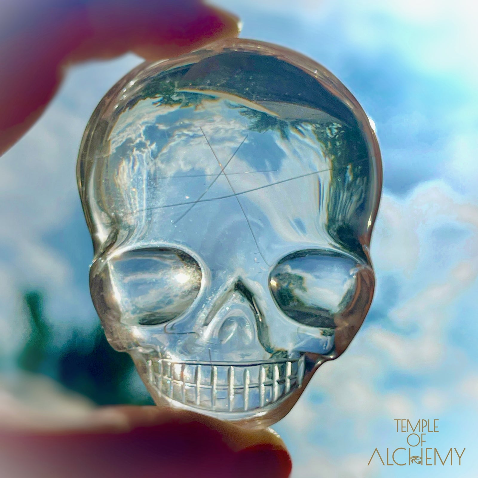 Ascension 𓄂♡𓆃 Copper Rutiles in Clear Quartz