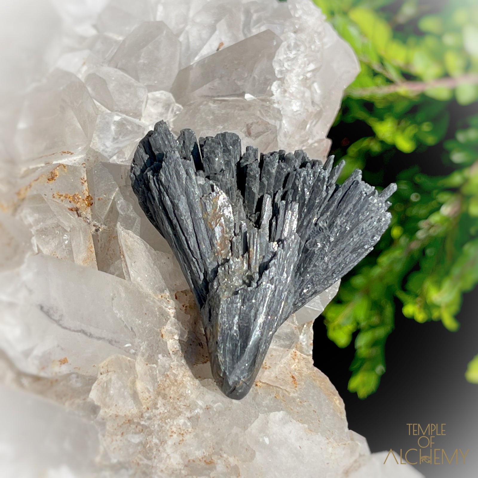 Black Kyanite