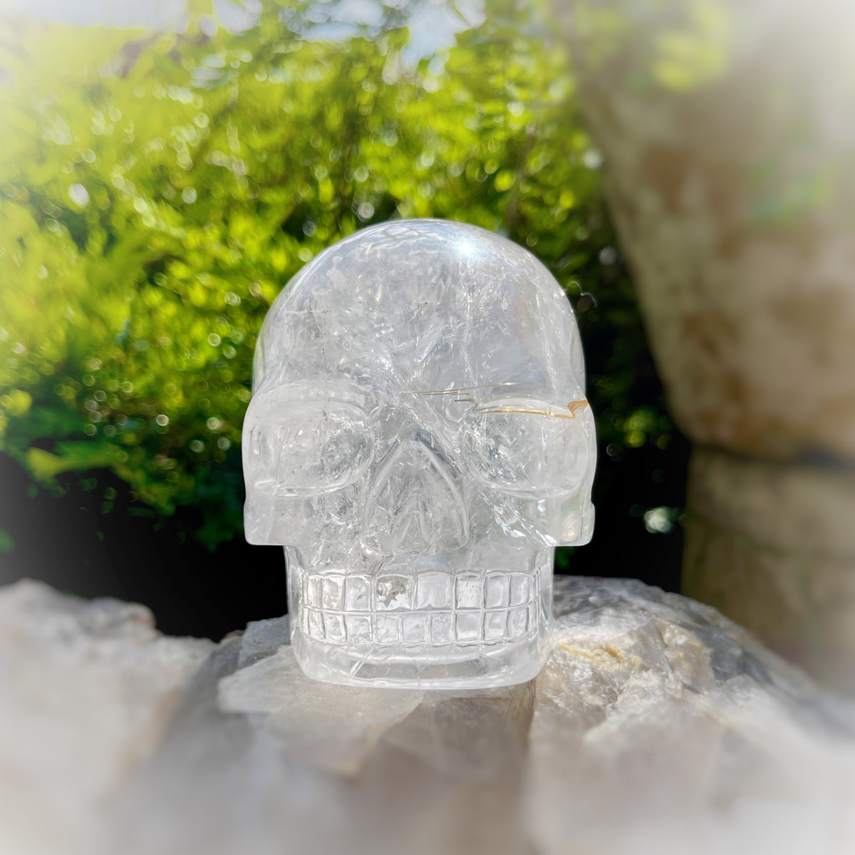 Golden x Copper Rutiles in Clear Quartz