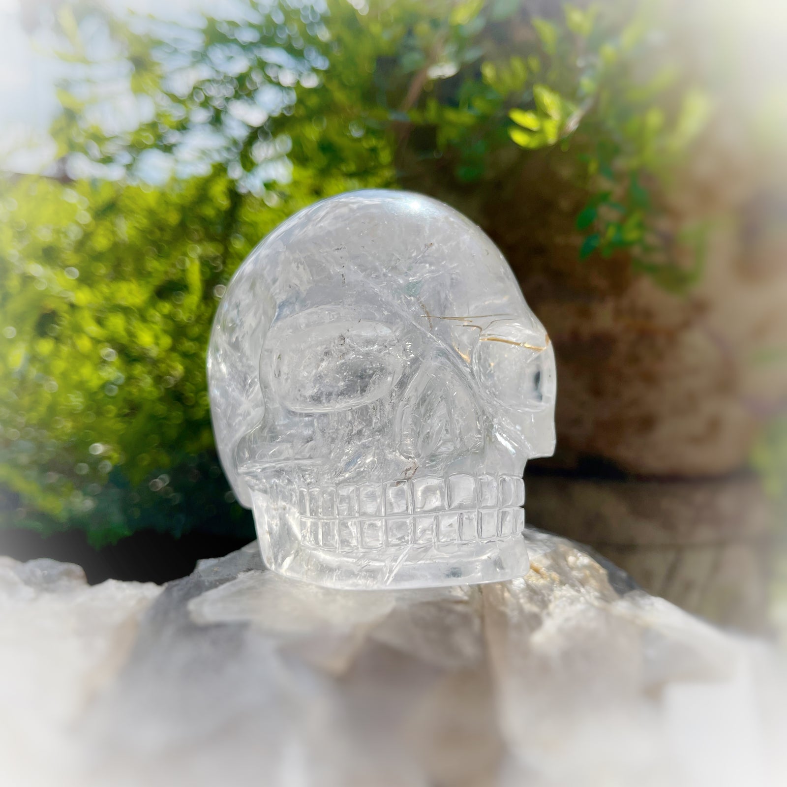 Golden x Copper Rutiles in Clear Quartz