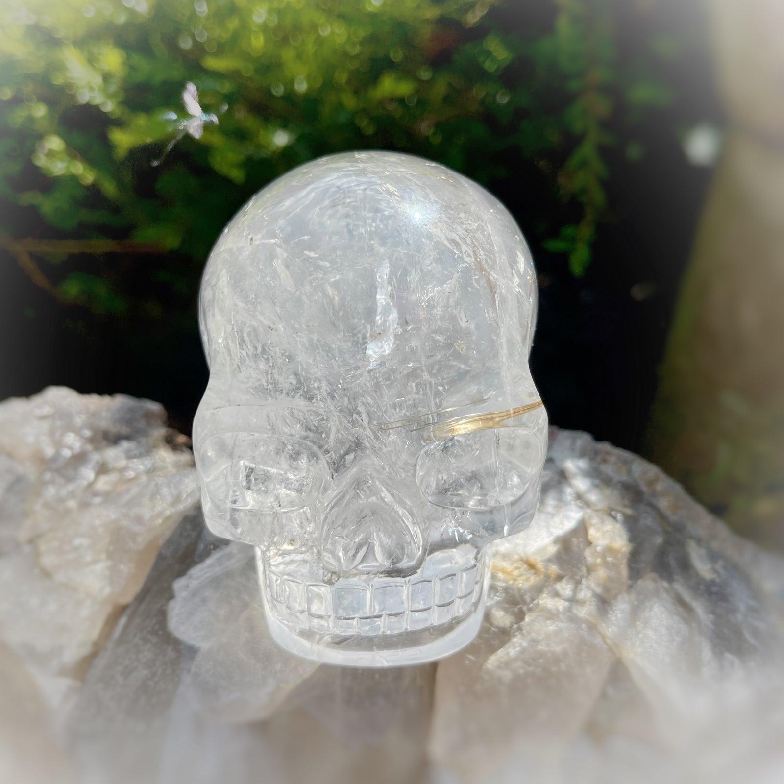 Golden x Copper Rutiles in Clear Quartz