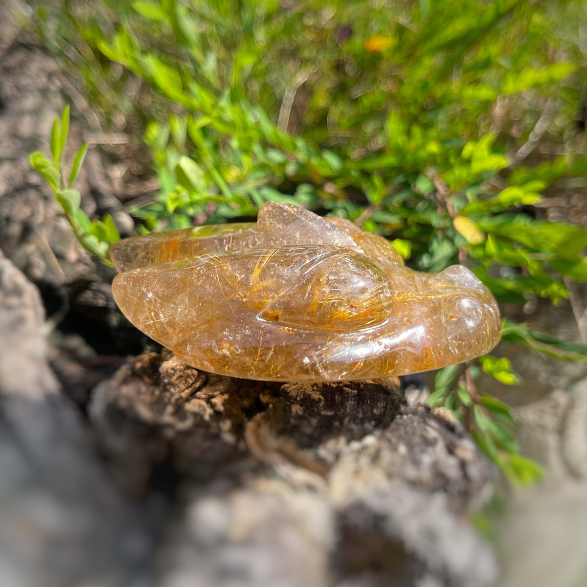 Golden Rutiles x Golden Healer in Clear Quartz