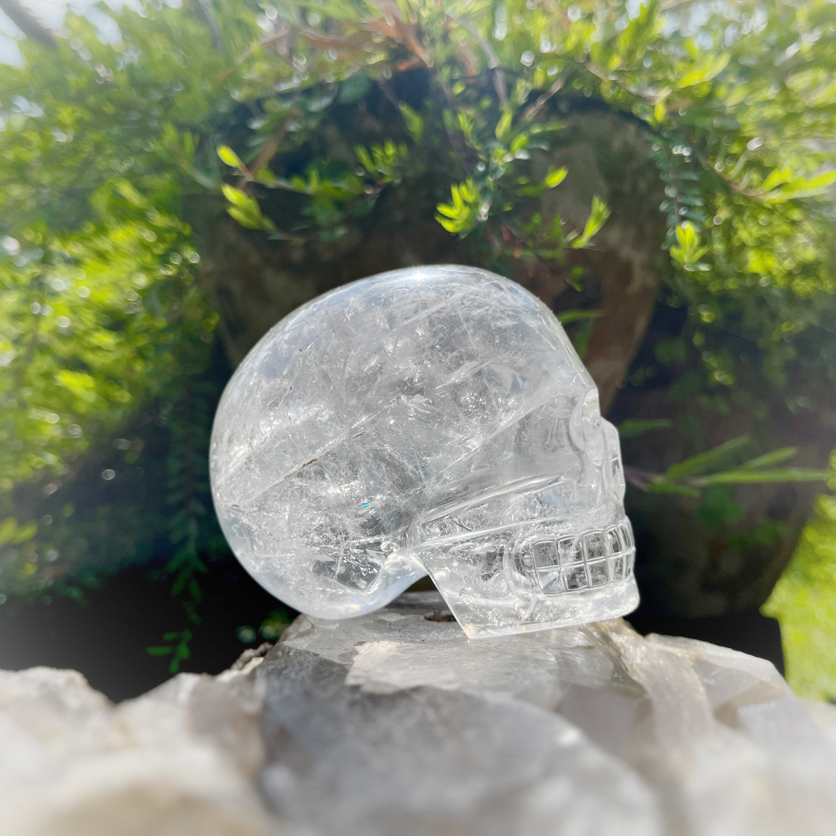 Golden x Copper Rutiles in Clear Quartz