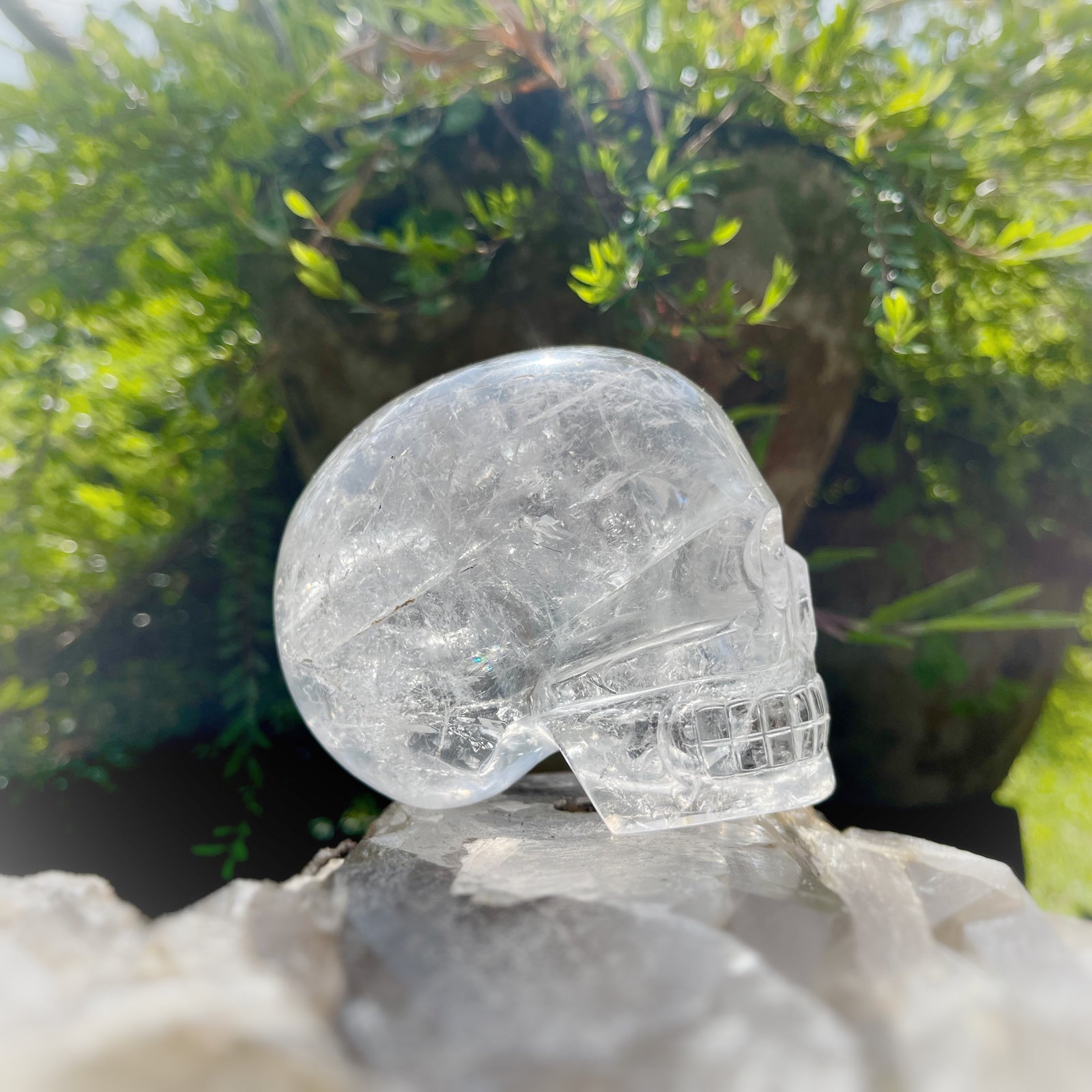 Golden x Copper Rutiles in Clear Quartz