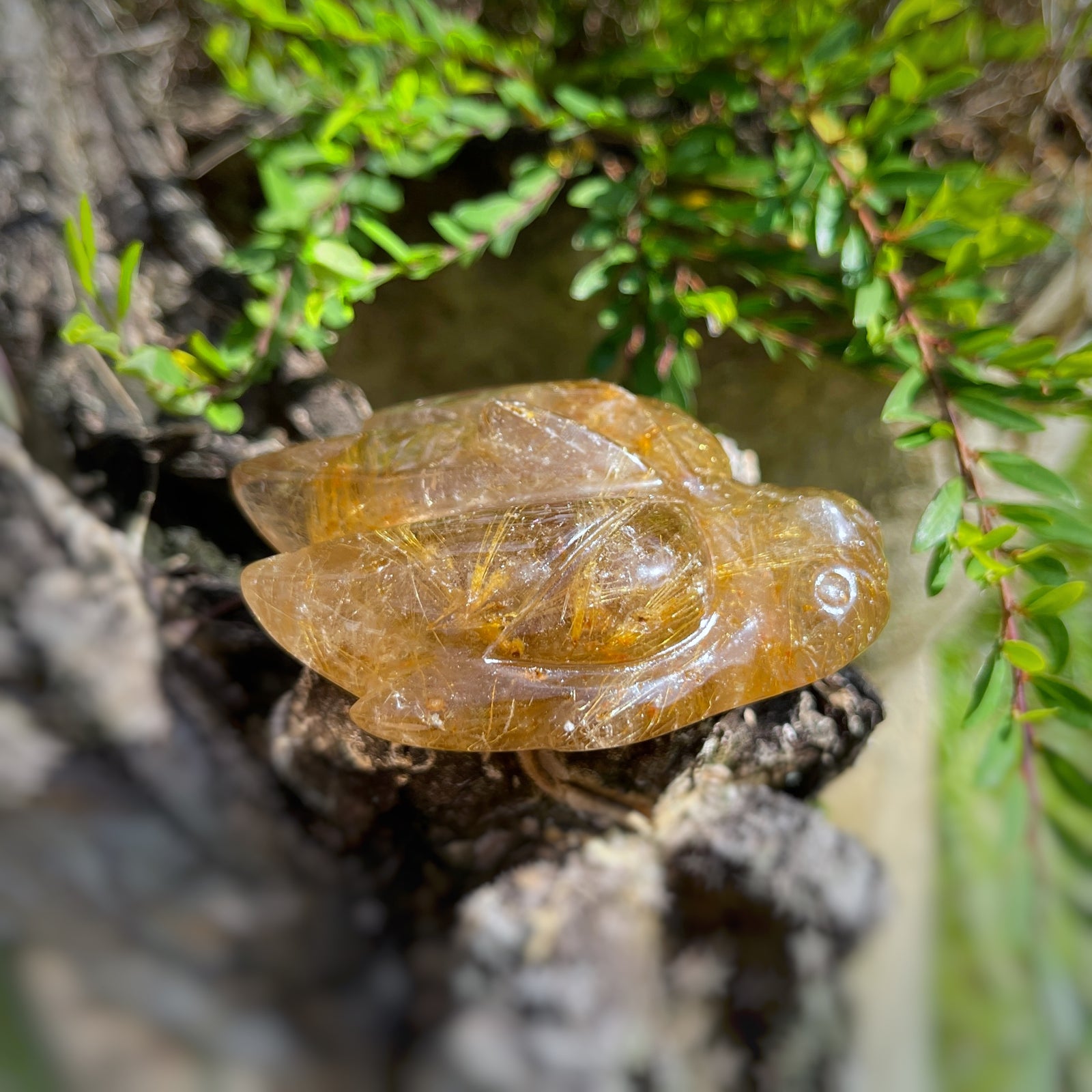 Golden Rutiles x Golden Healer in Clear Quartz