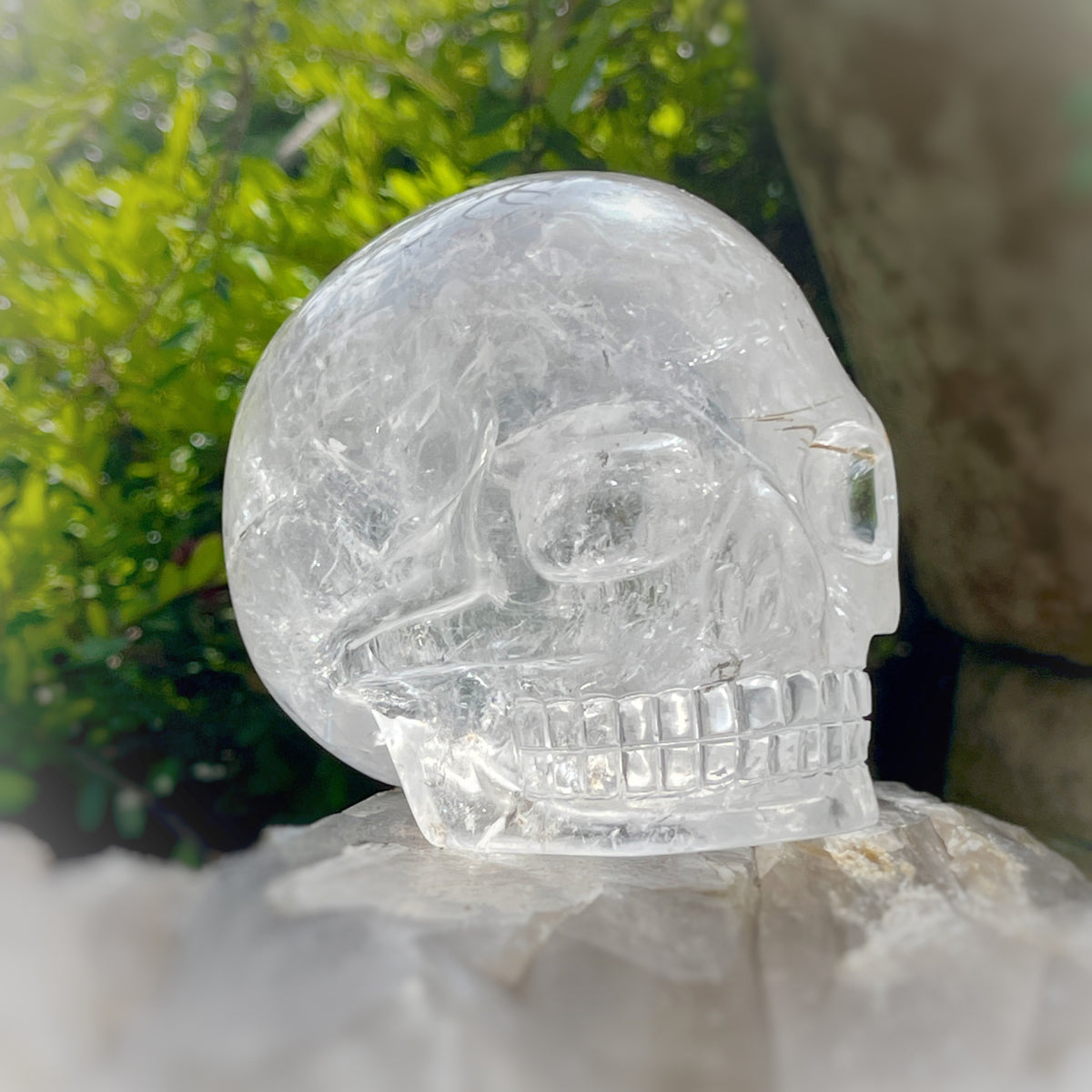 Golden x Copper Rutiles in Clear Quartz