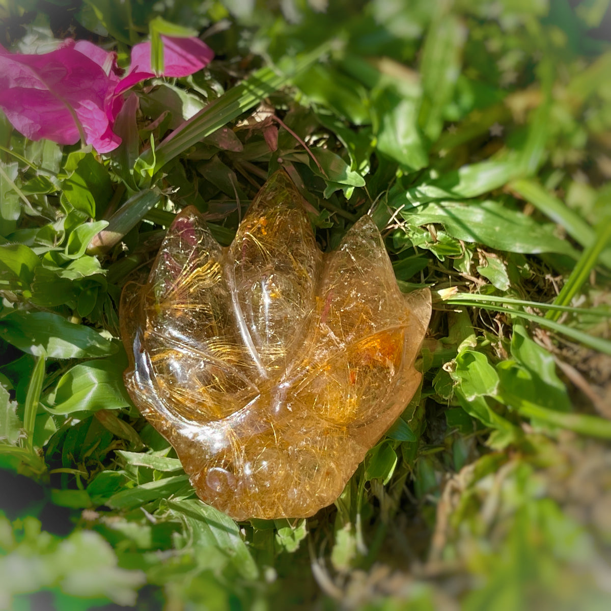 Golden Rutiles x Golden Healer in Clear Quartz