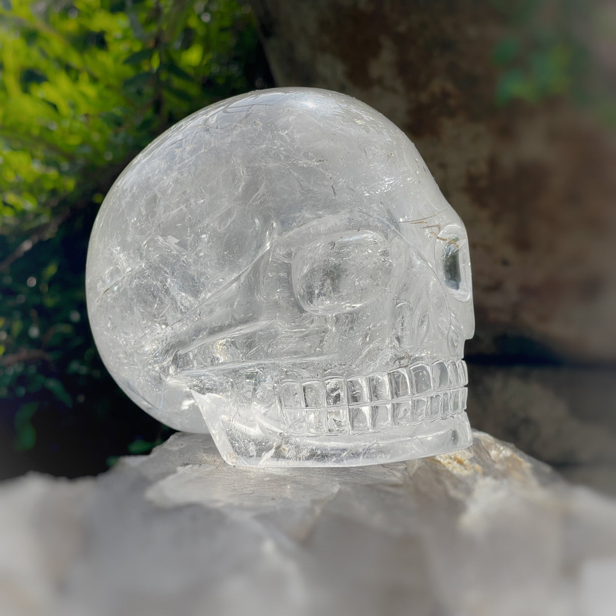 Golden x Copper Rutiles in Clear Quartz