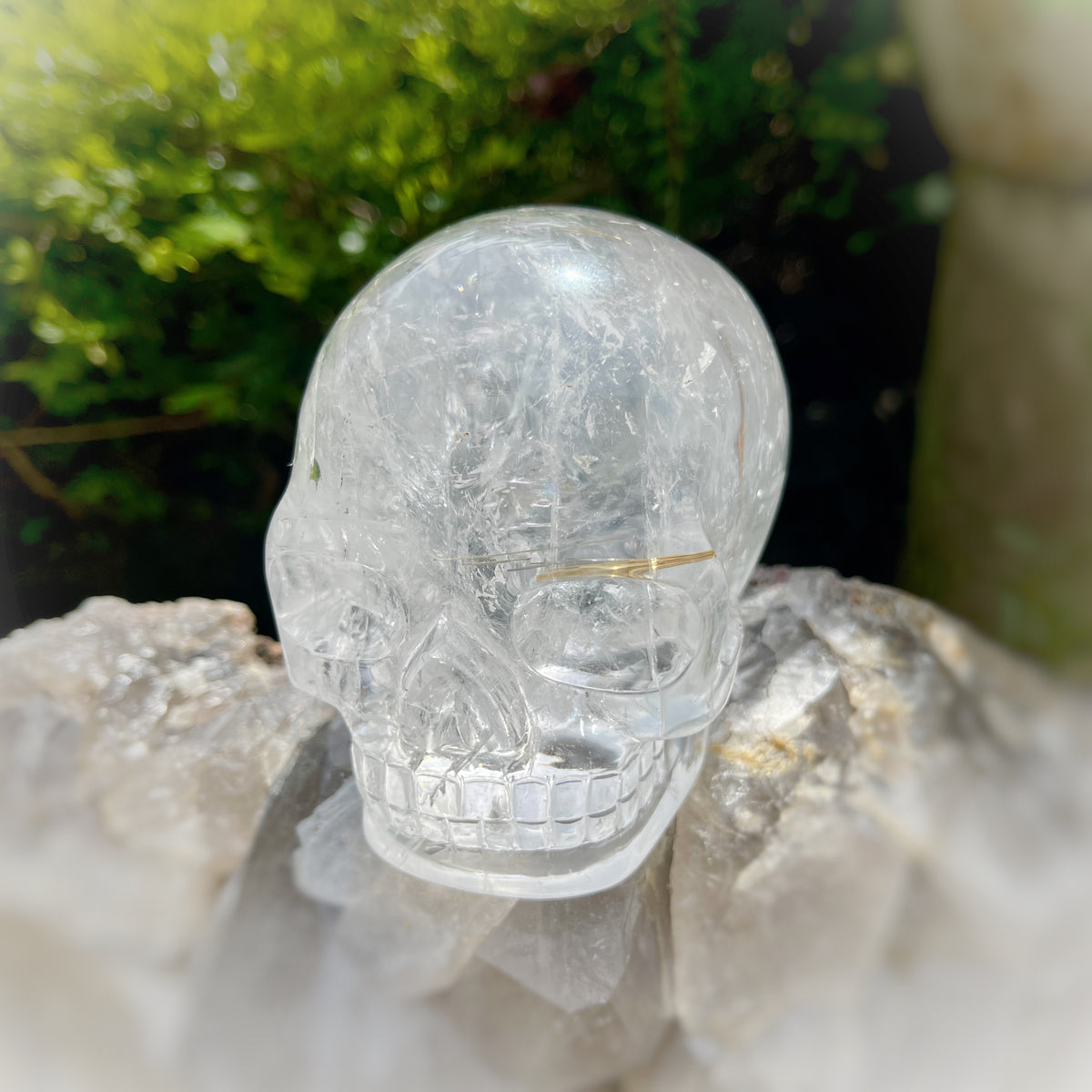 Golden x Copper Rutiles in Clear Quartz