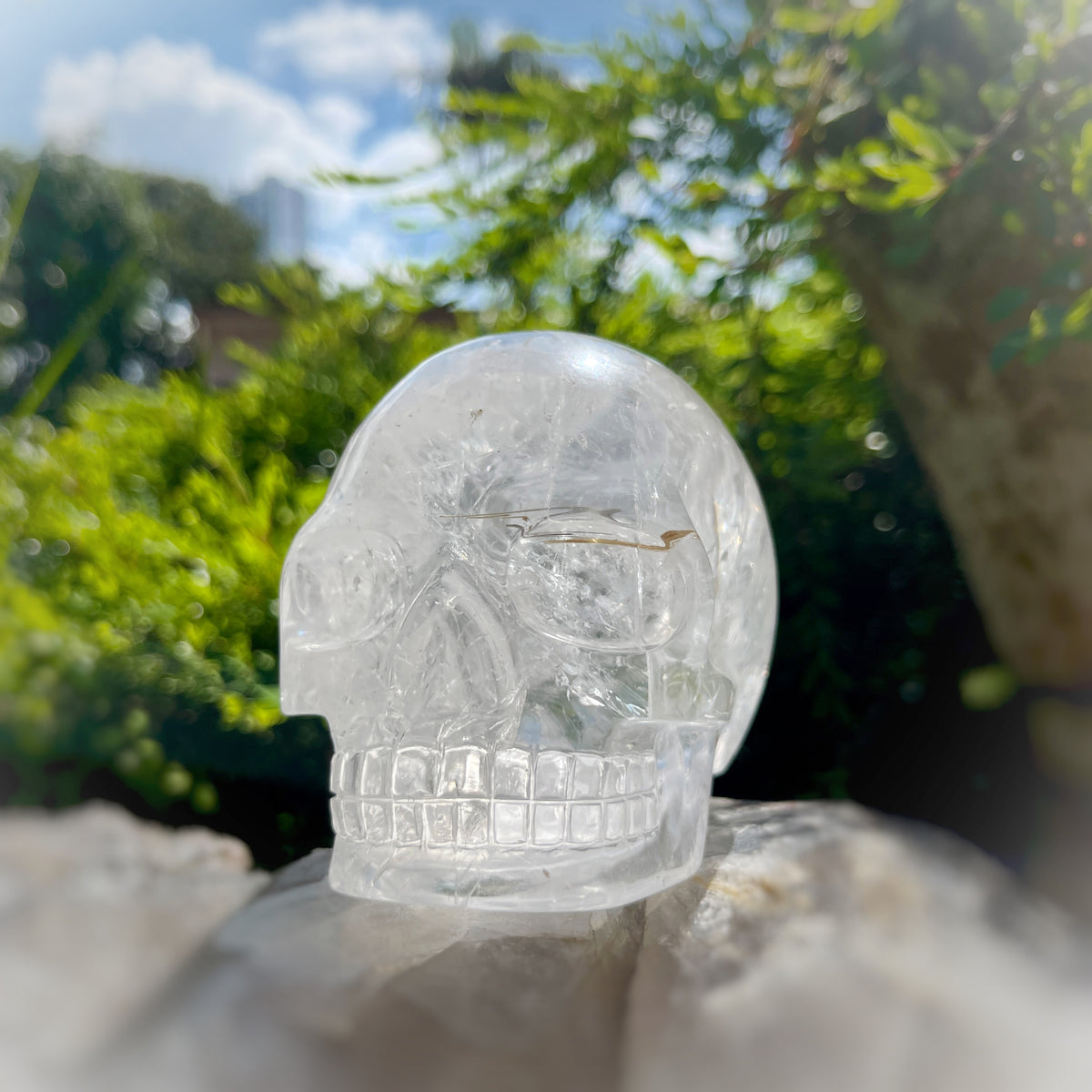 Golden x Copper Rutiles in Clear Quartz