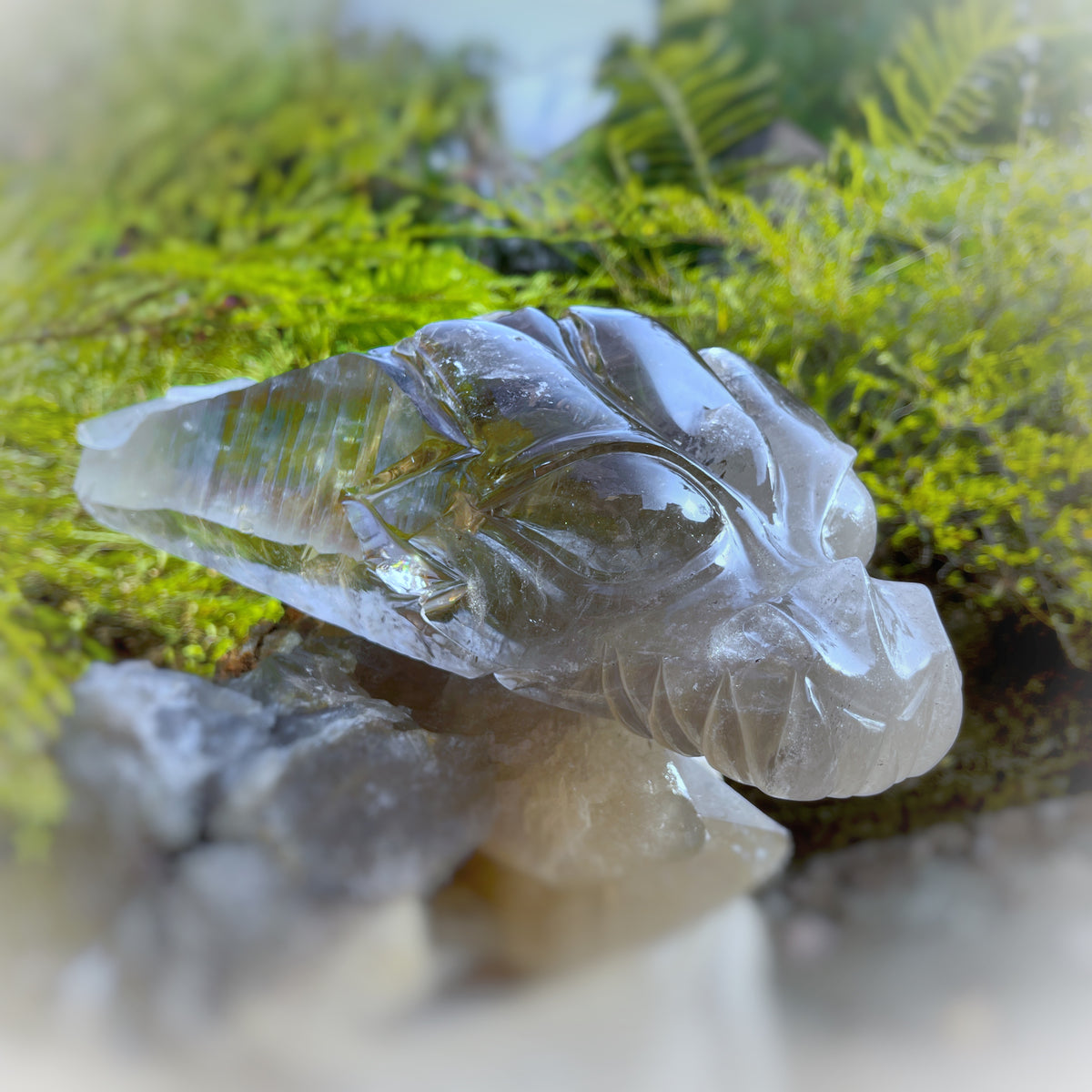 Lordum  𓆃 Warrior # 208 * Ultra Rare * Smoky Lemurian x Bridge Crystal Growth & Baby Crystals