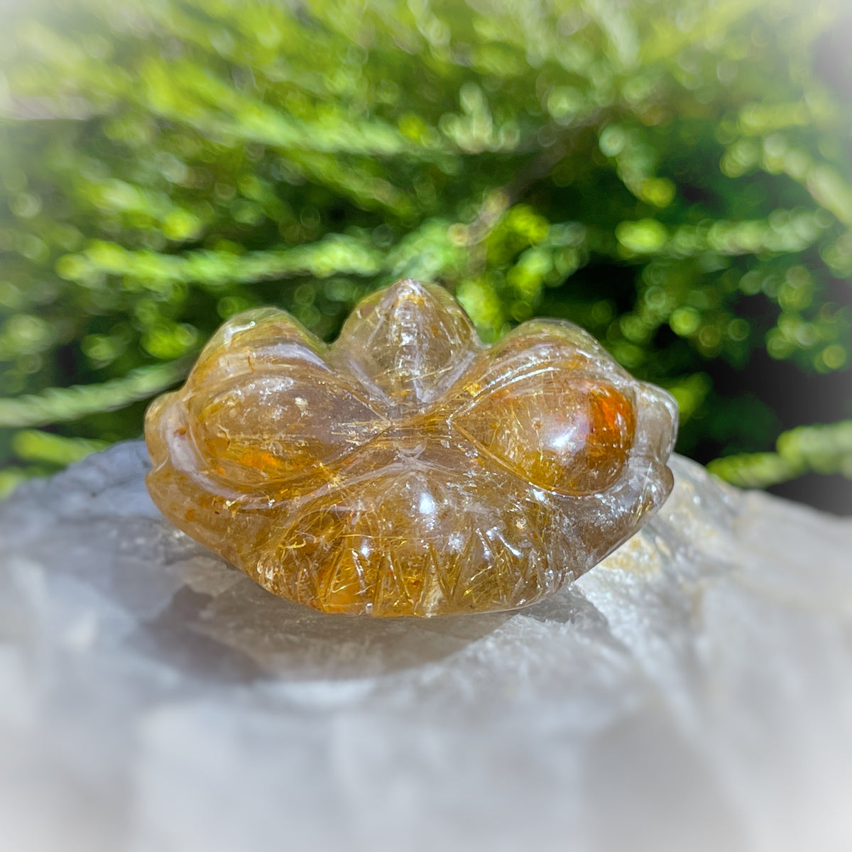 Golden Rutiles x Golden Healer in Clear Quartz