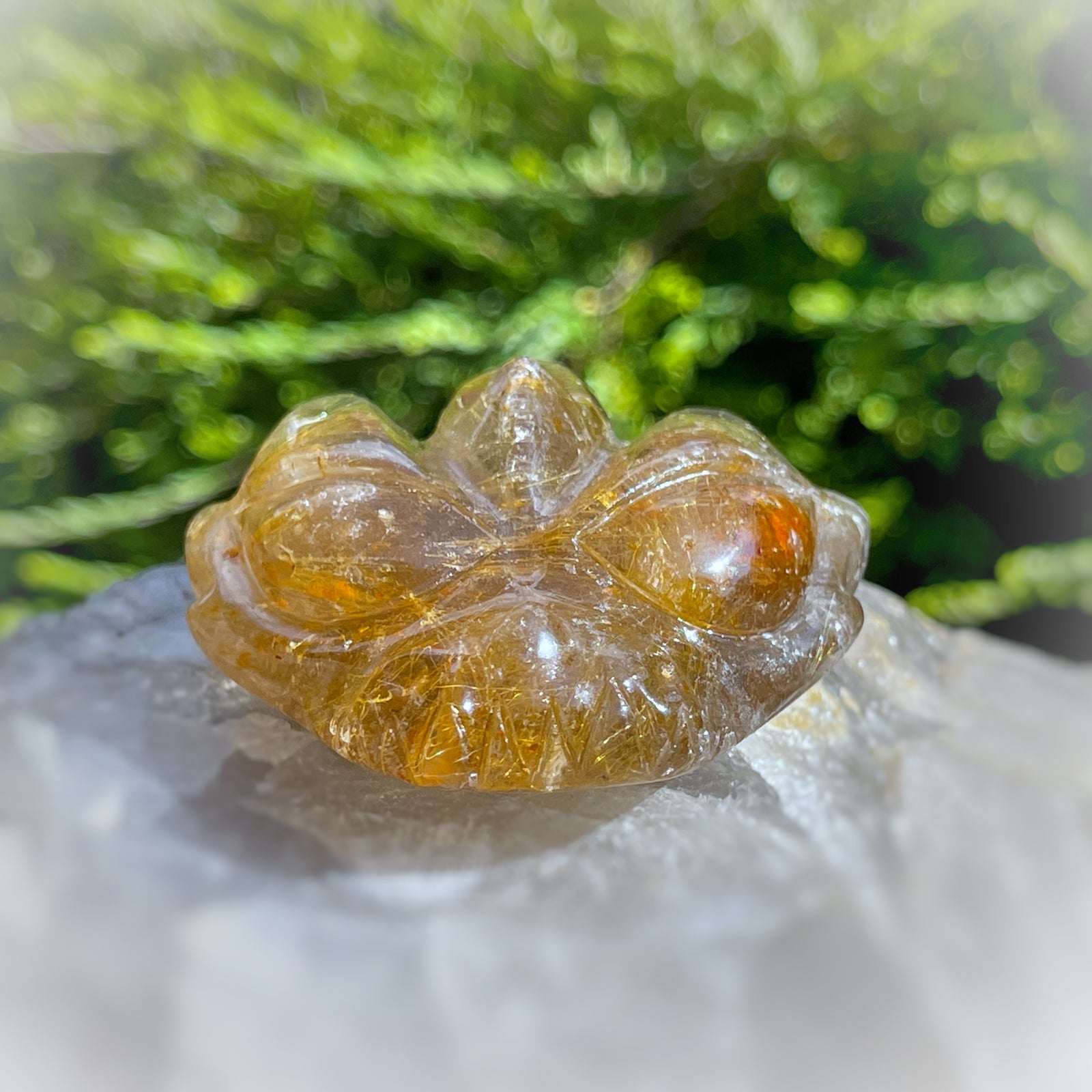 Golden Rutiles x Golden Healer in Clear Quartz