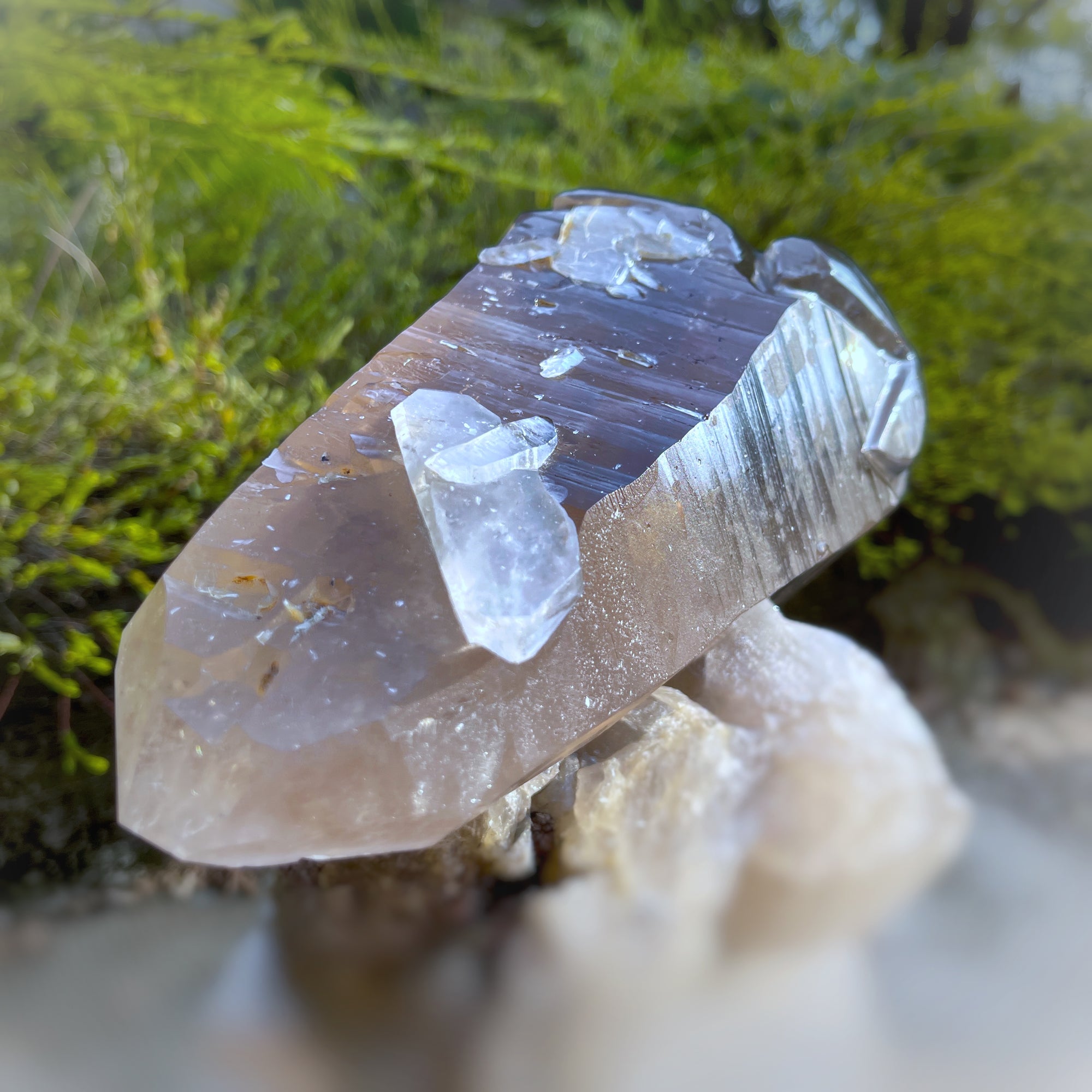 Lordum  𓆃 Warrior # 208 * Ultra Rare * Smoky Lemurian x Bridge Crystal Growth & Baby Crystals