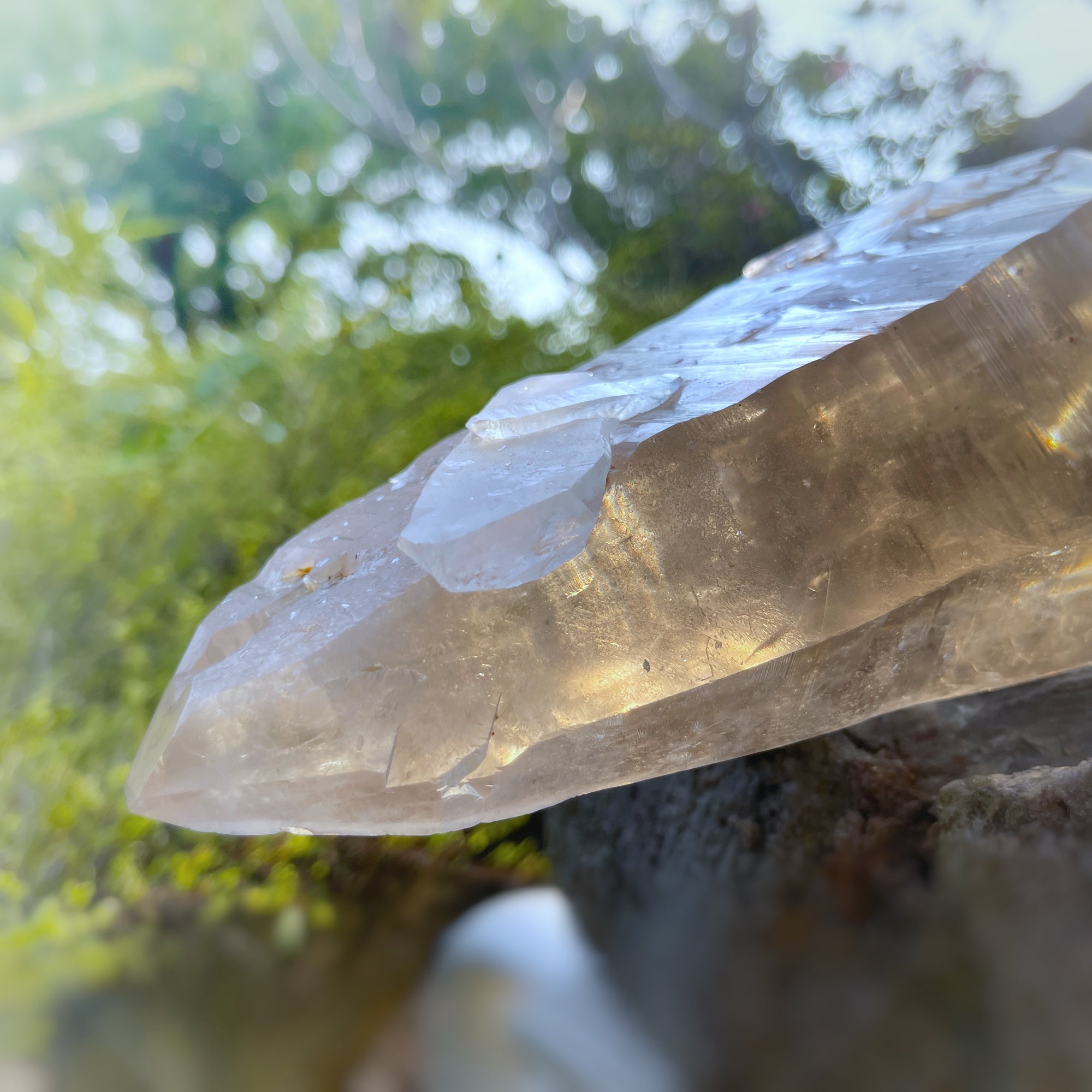 Lordum  𓆃 Warrior # 208 * Ultra Rare * Smoky Lemurian x Bridge Crystal Growth & Baby Crystals