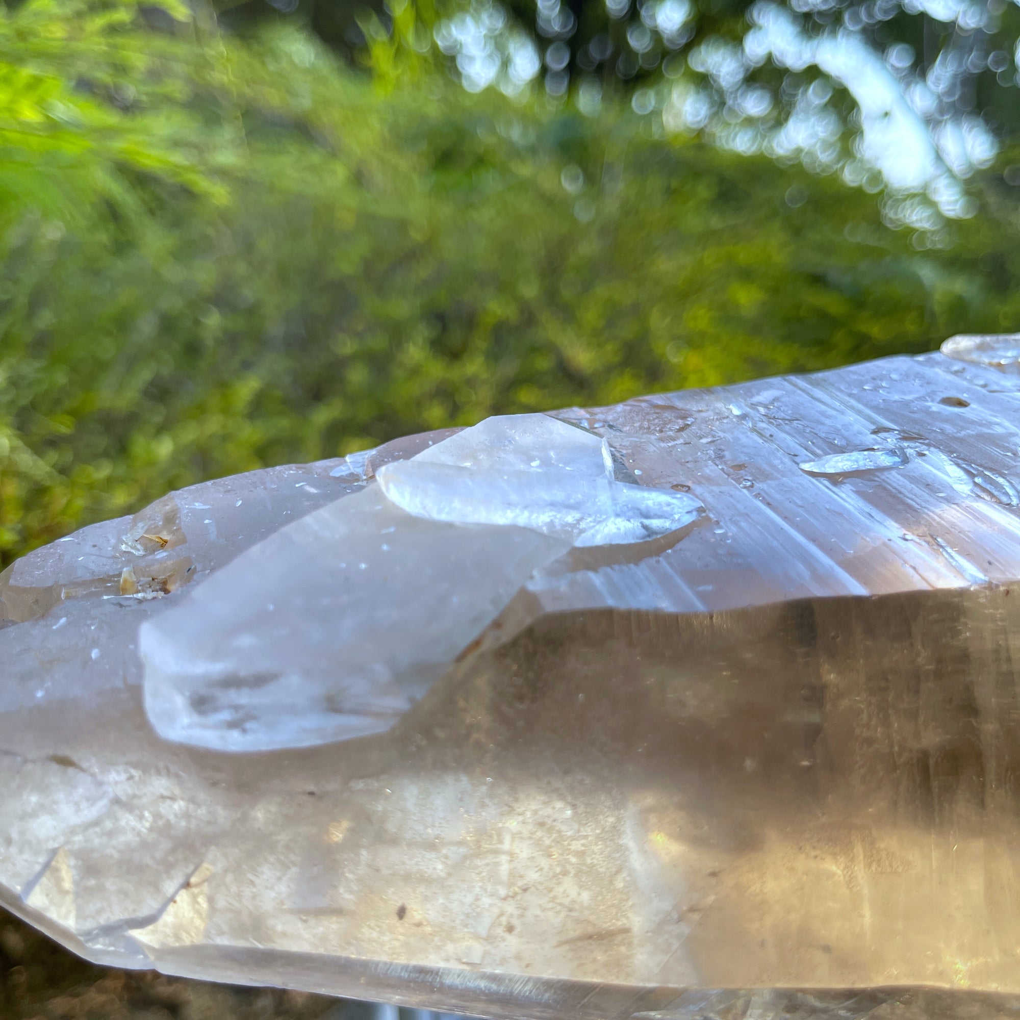 Lordum  𓆃 Warrior # 208 * Ultra Rare * Smoky Lemurian x Bridge Crystal Growth & Baby Crystals