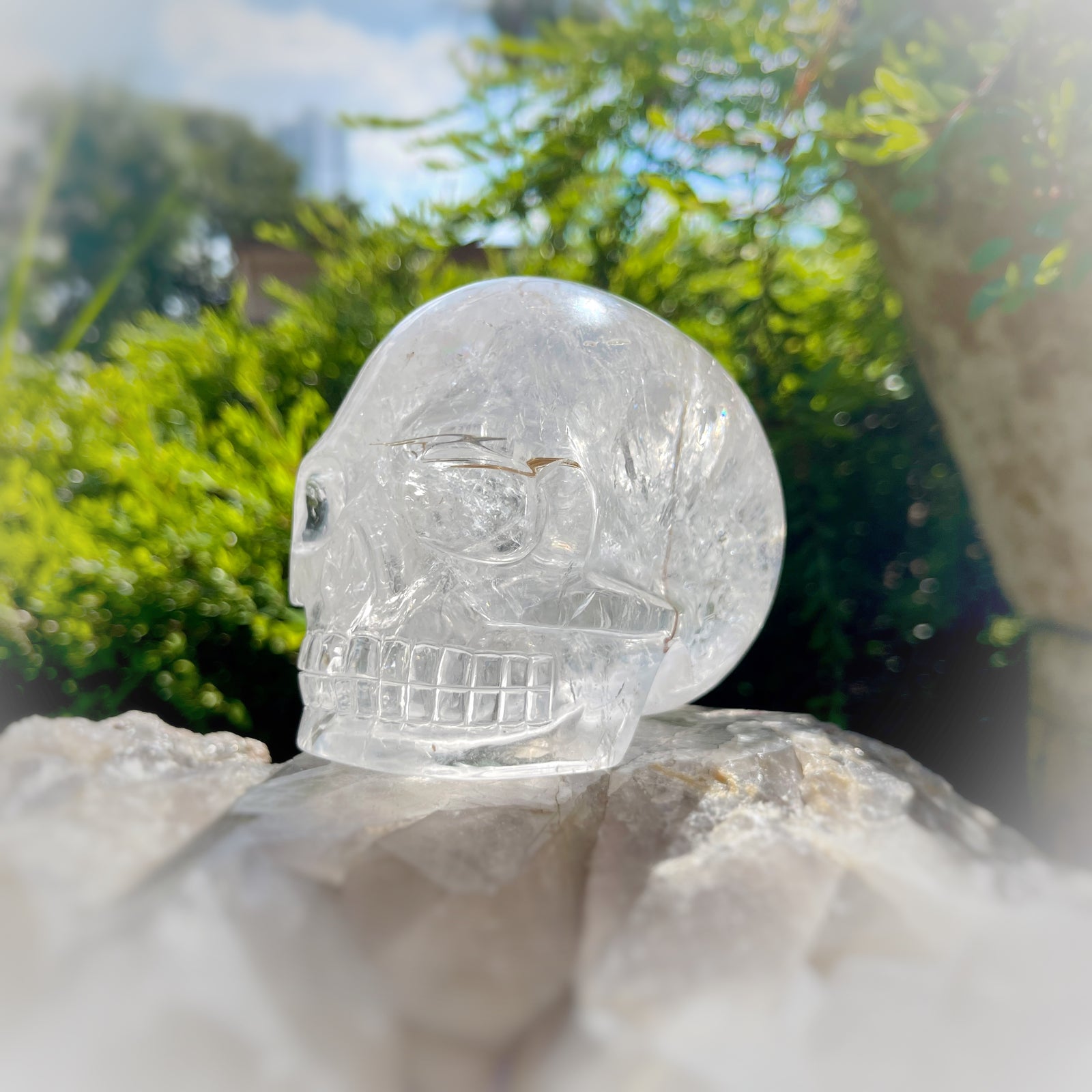 Golden x Copper Rutiles in Clear Quartz