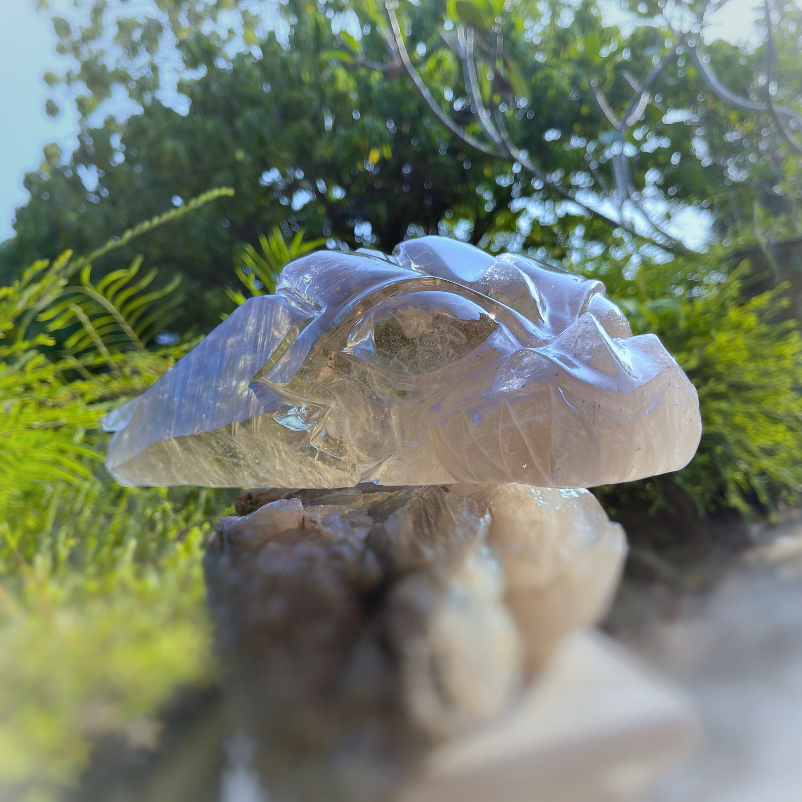 Lordum  𓆃 Warrior # 208 * Ultra Rare * Smoky Lemurian x Bridge Crystal Growth & Baby Crystals