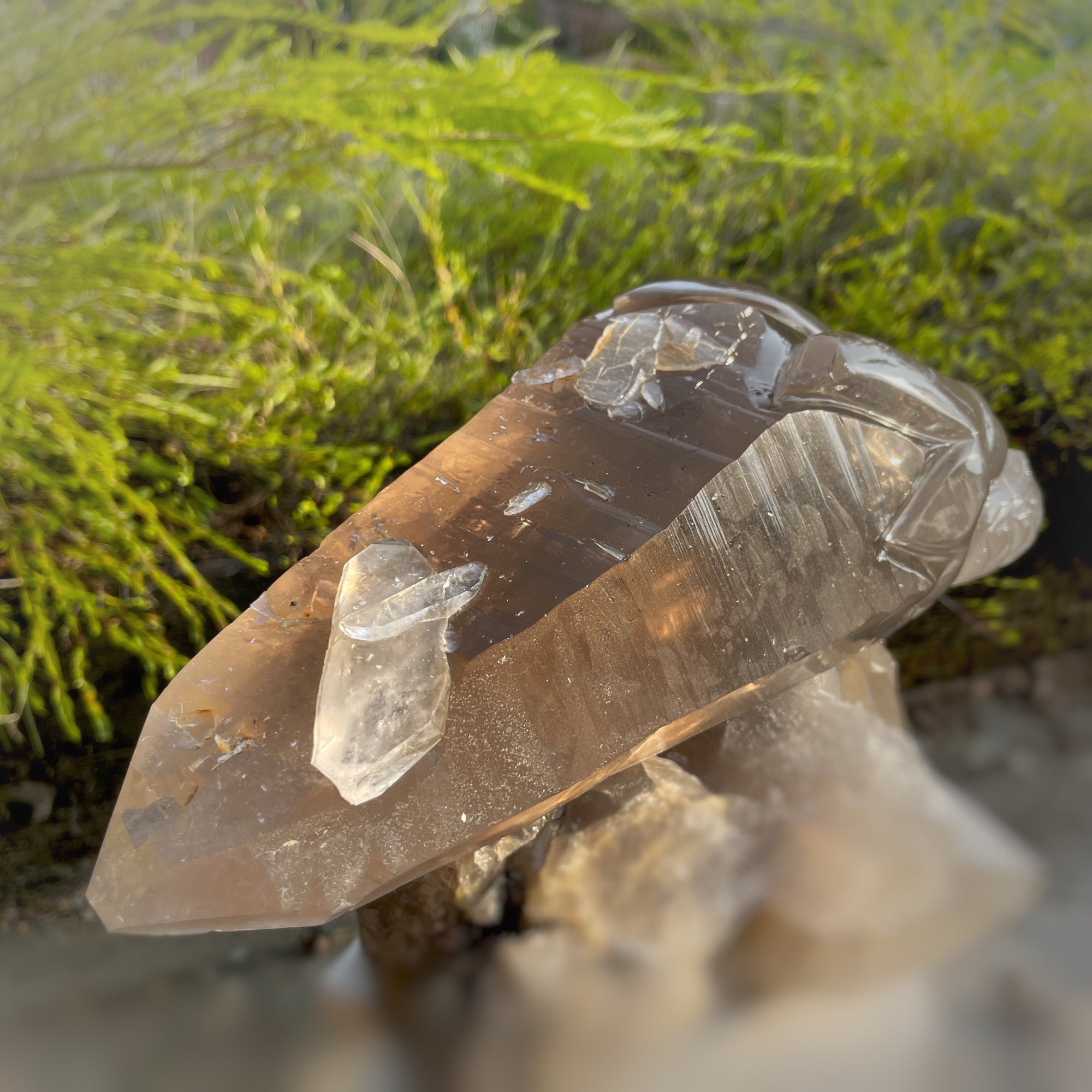 Lordum  𓆃 Warrior # 208 * Ultra Rare * Smoky Lemurian x Bridge Crystal Growth & Baby Crystals