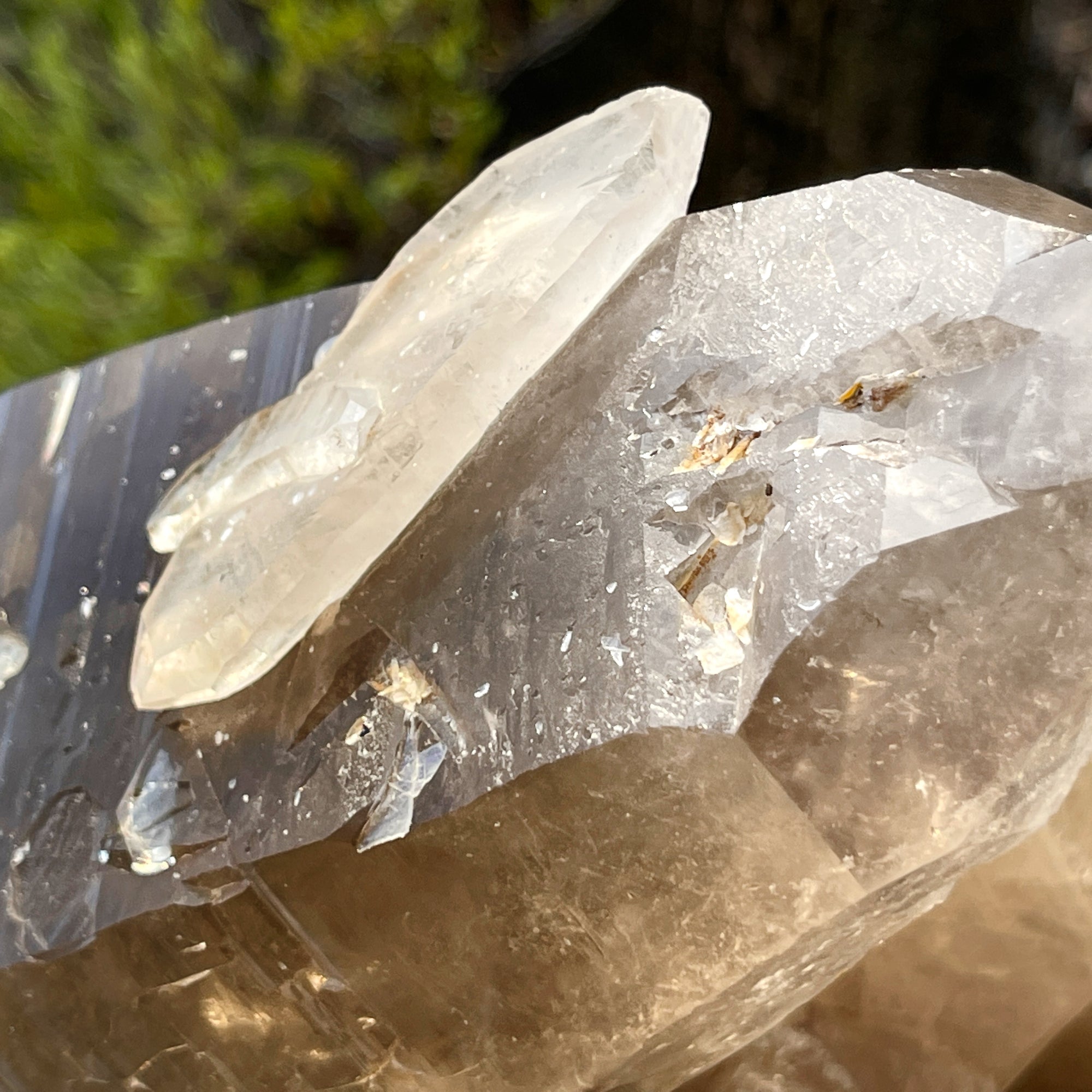 Lordum  𓆃 Warrior # 208 * Ultra Rare * Smoky Lemurian x Bridge Crystal Growth & Baby Crystals