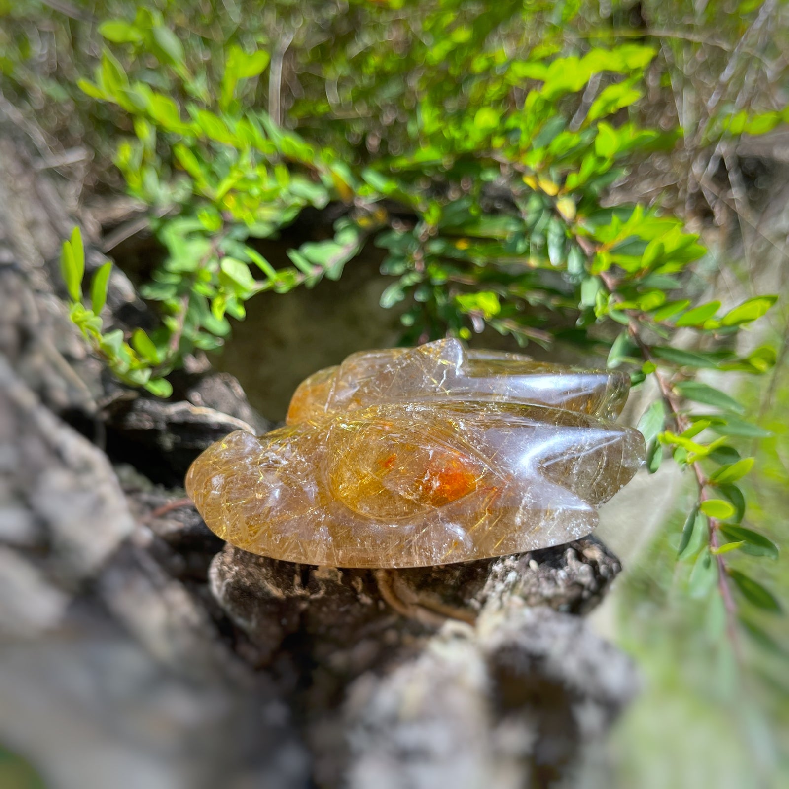 Golden Rutiles x Golden Healer in Clear Quartz