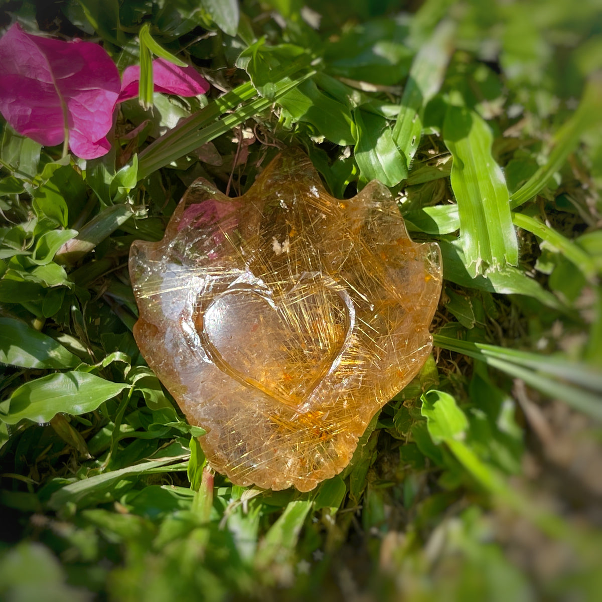 Golden Rutiles x Golden Healer in Clear Quartz