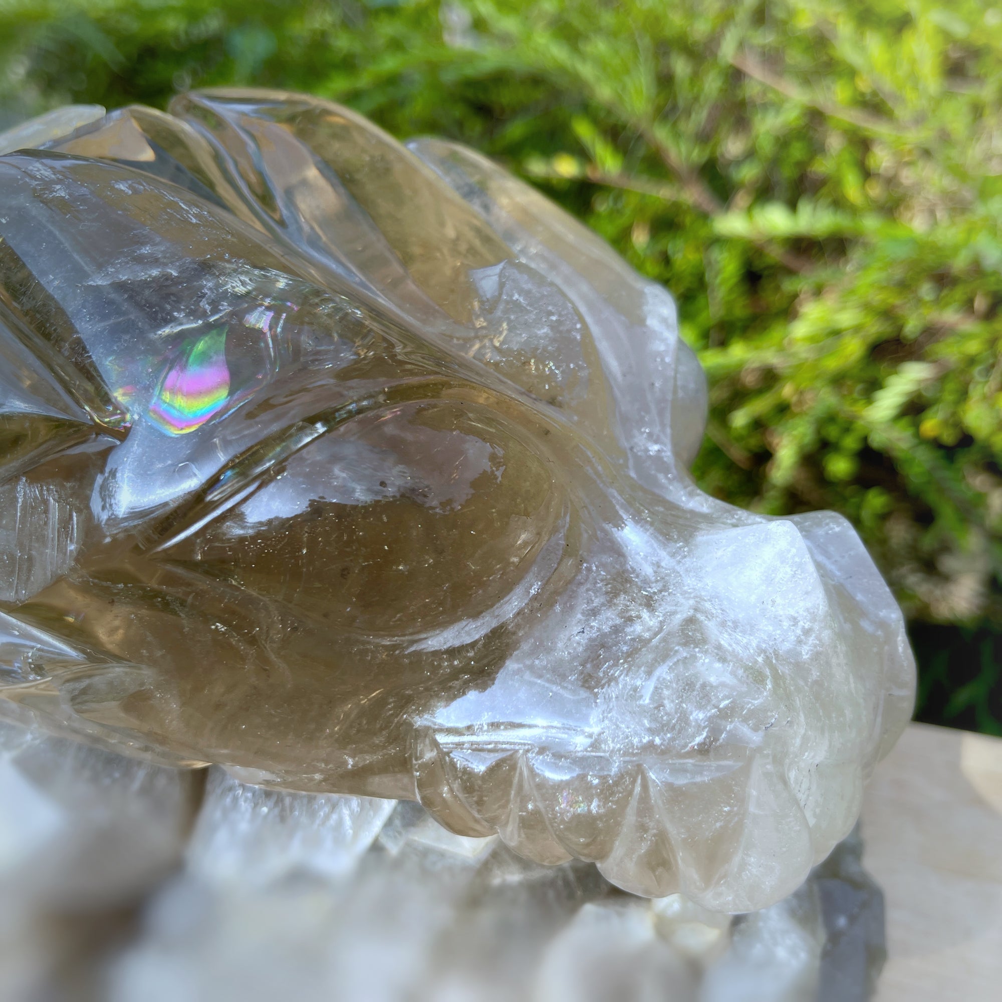 Lordum  𓆃 Warrior # 208 * Ultra Rare * Smoky Lemurian x Bridge Crystal Growth & Baby Crystals