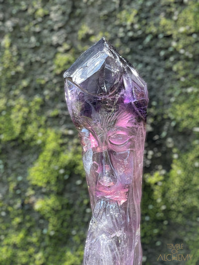 Ametrine Record Keeper + Phantom