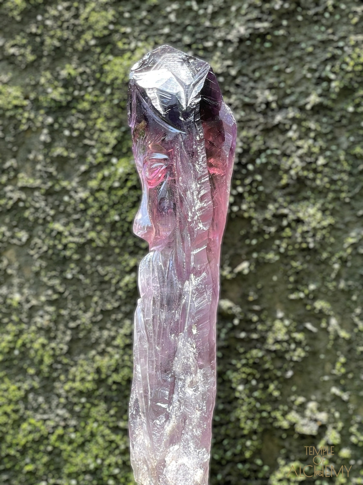 Record Keeper 𓄂♡𓆃 Phantom Ametrine