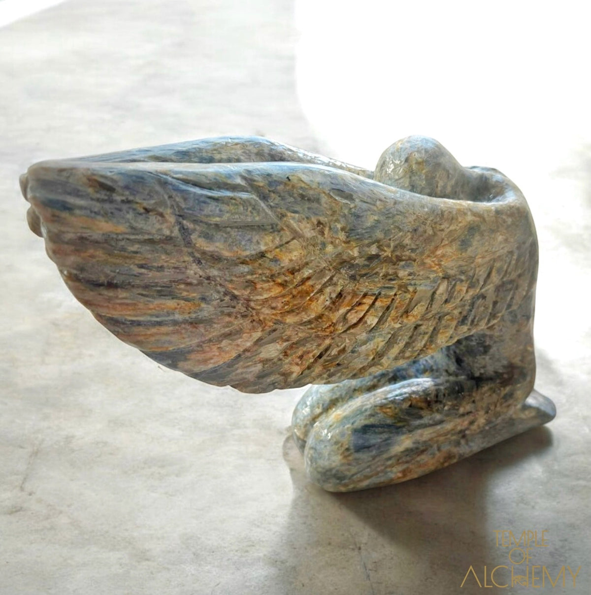 Coming Soon 𓆃 Eden