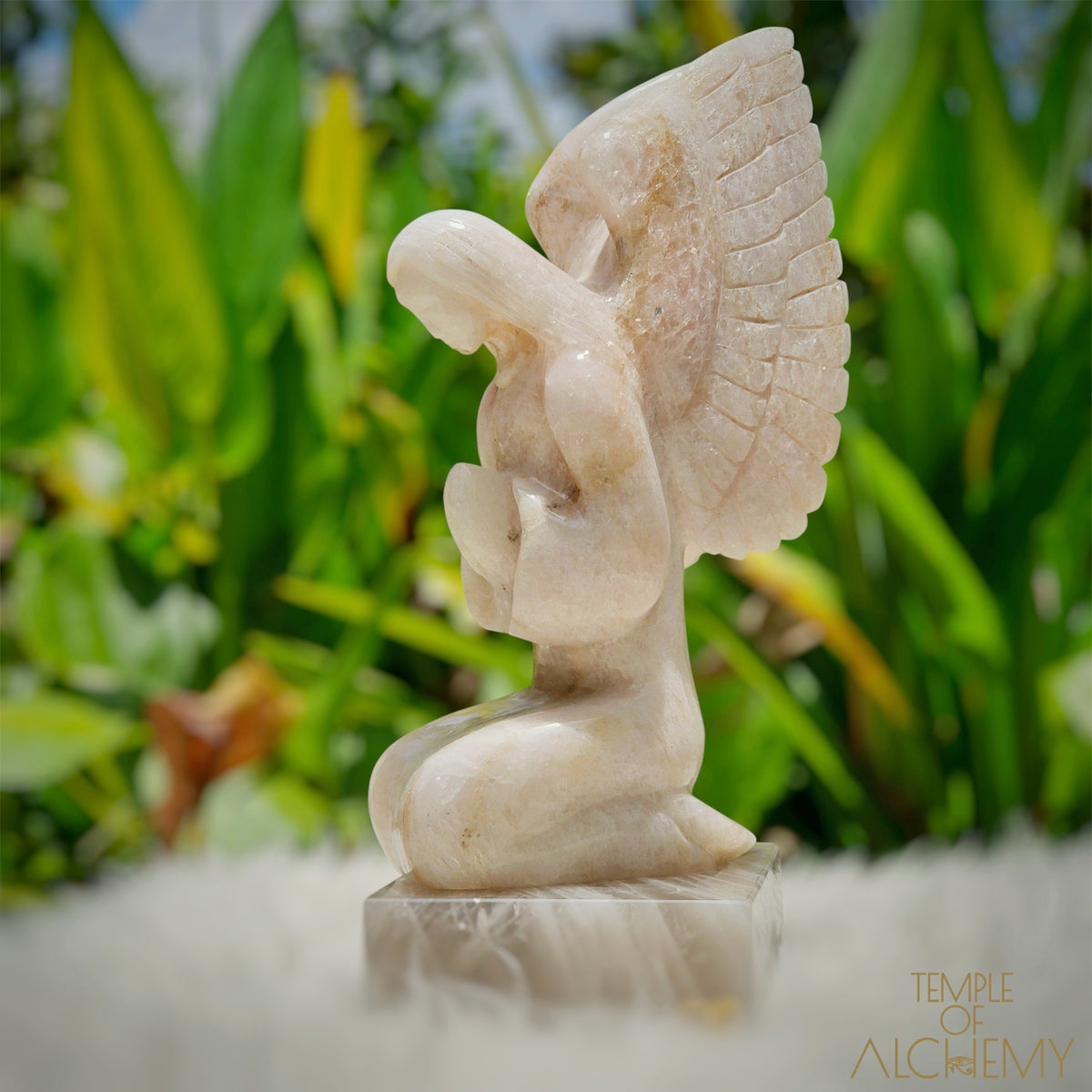 Raphaela 𓆃 The Healing of God