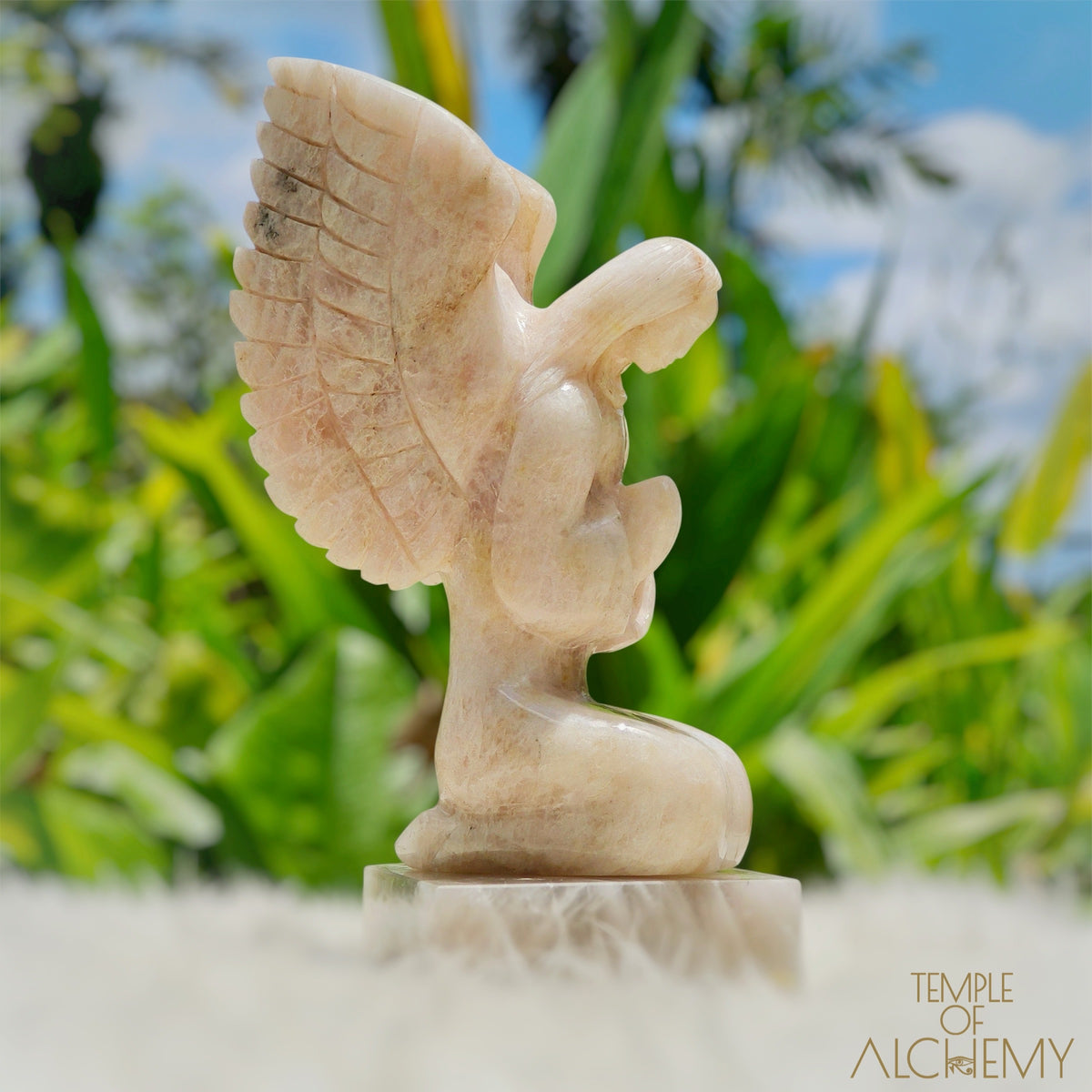 Raphaela 𓆃 The Healing of God