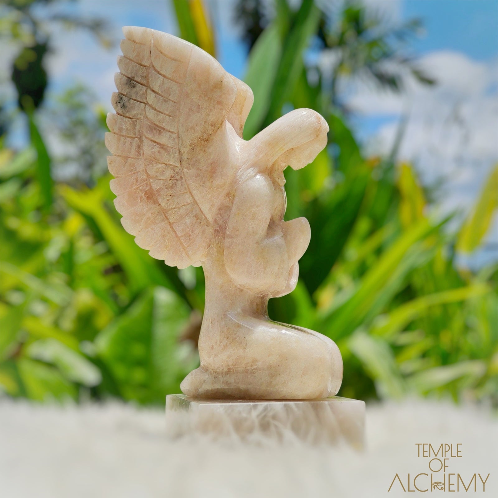 Raphaela 𓆃 The Healing of God